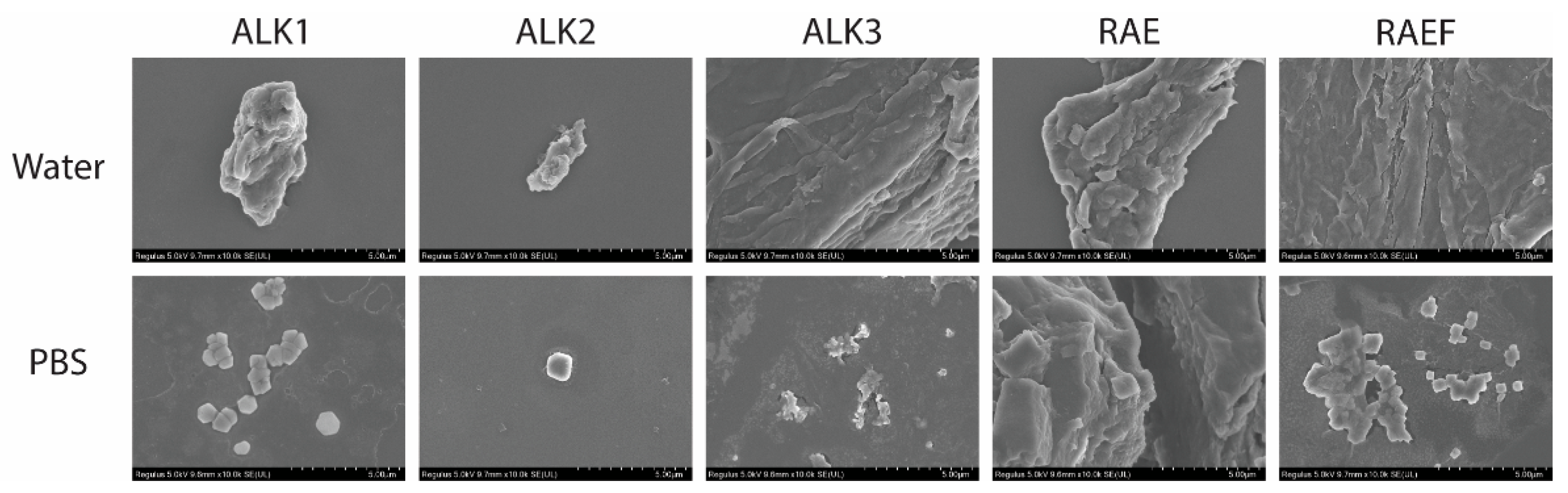 Biomedicines 10 02164 g001 550