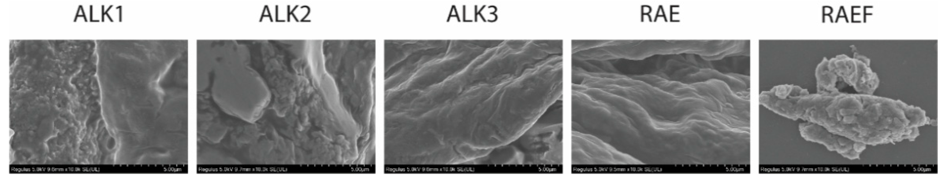 Biomedicines 10 02164 g006 550