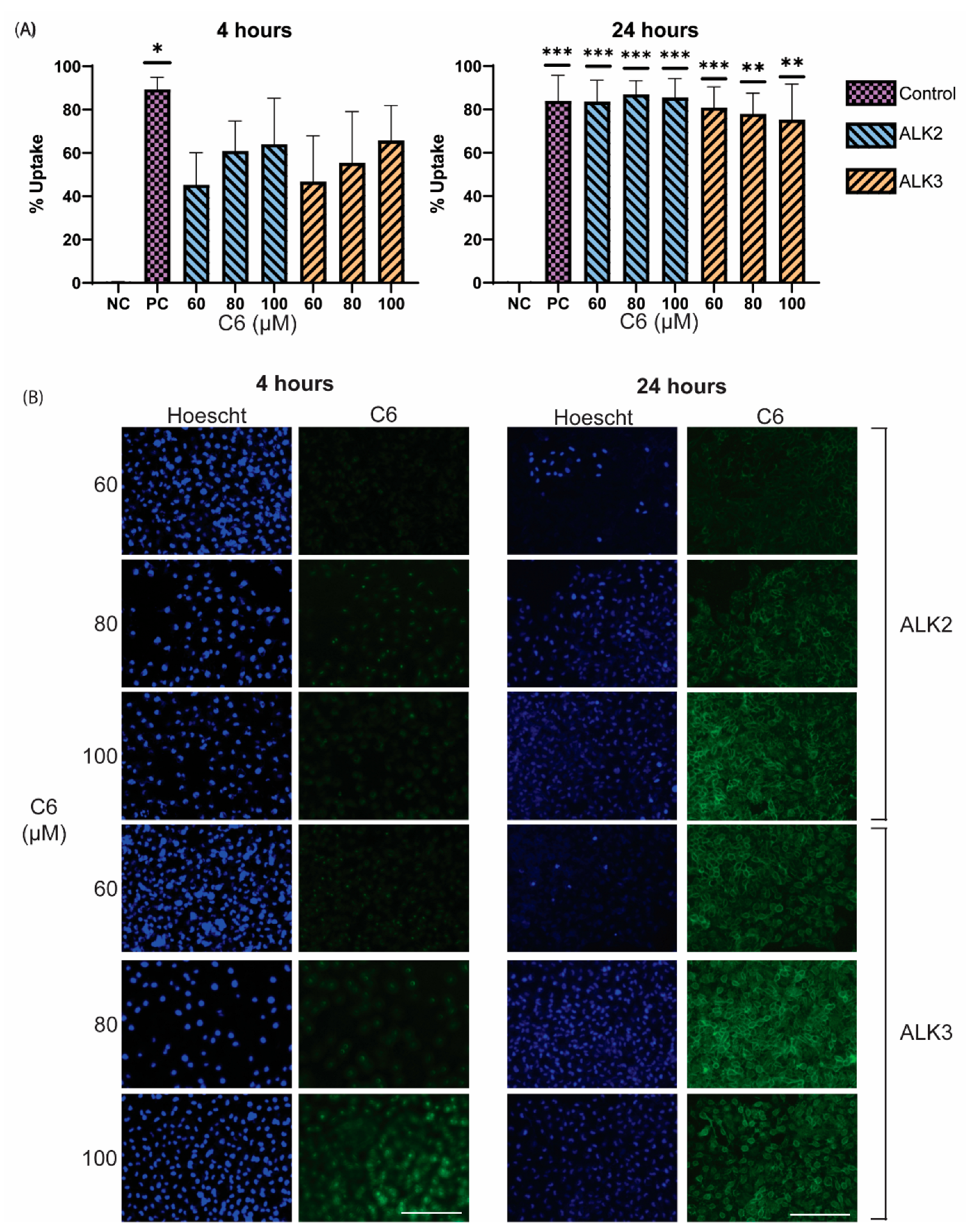 Biomedicines 10 02164 g010 550