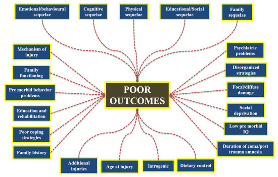 Biomedicines | Free Full-Text | Understanding Acquired Brain Injury: A