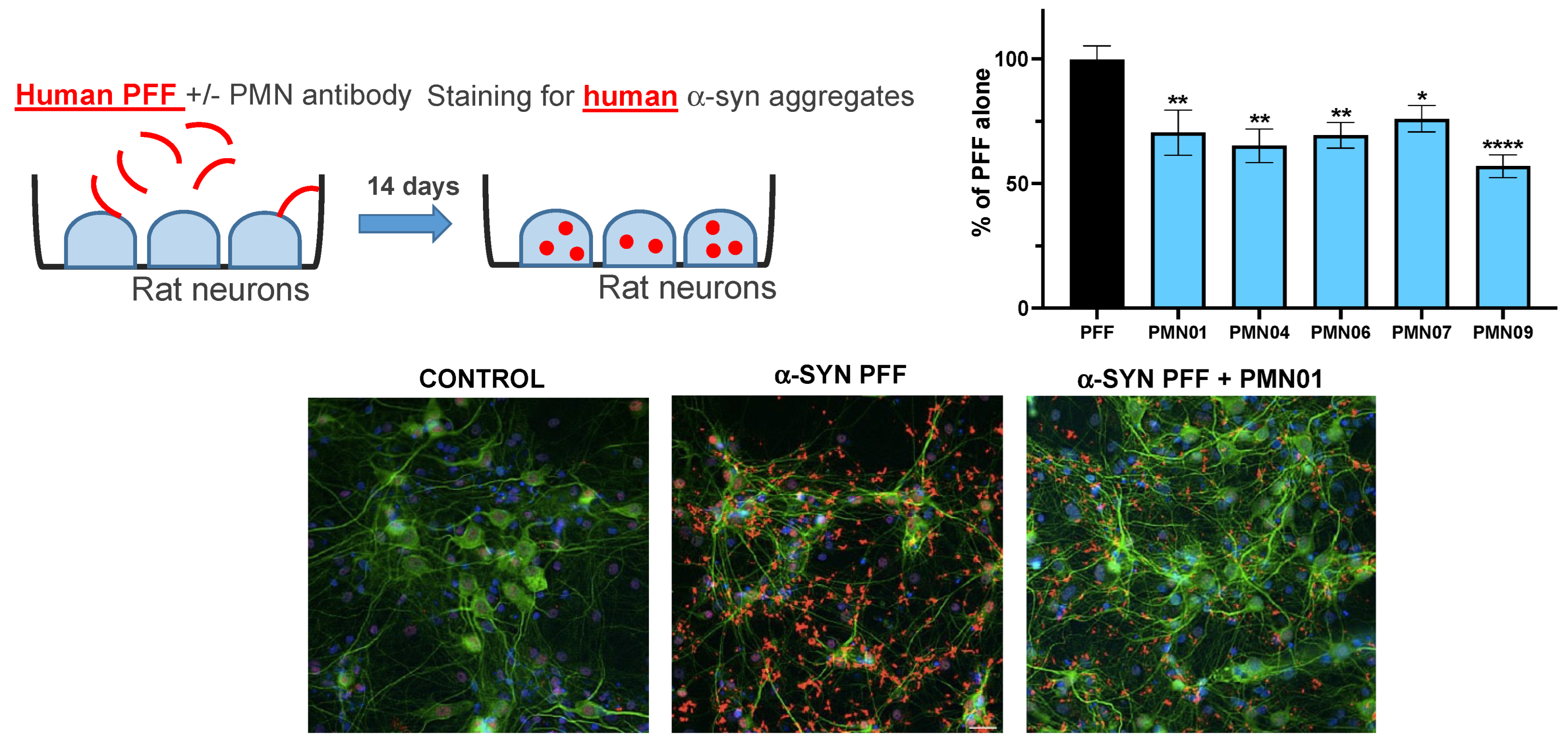 Biomedicines 10 02168 g010 550