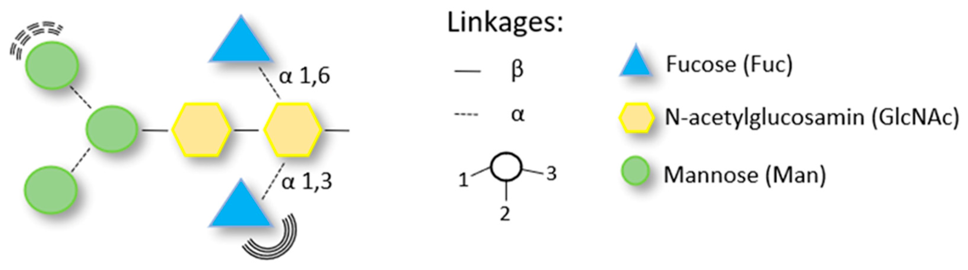 Biomedicines 10 02170 g006