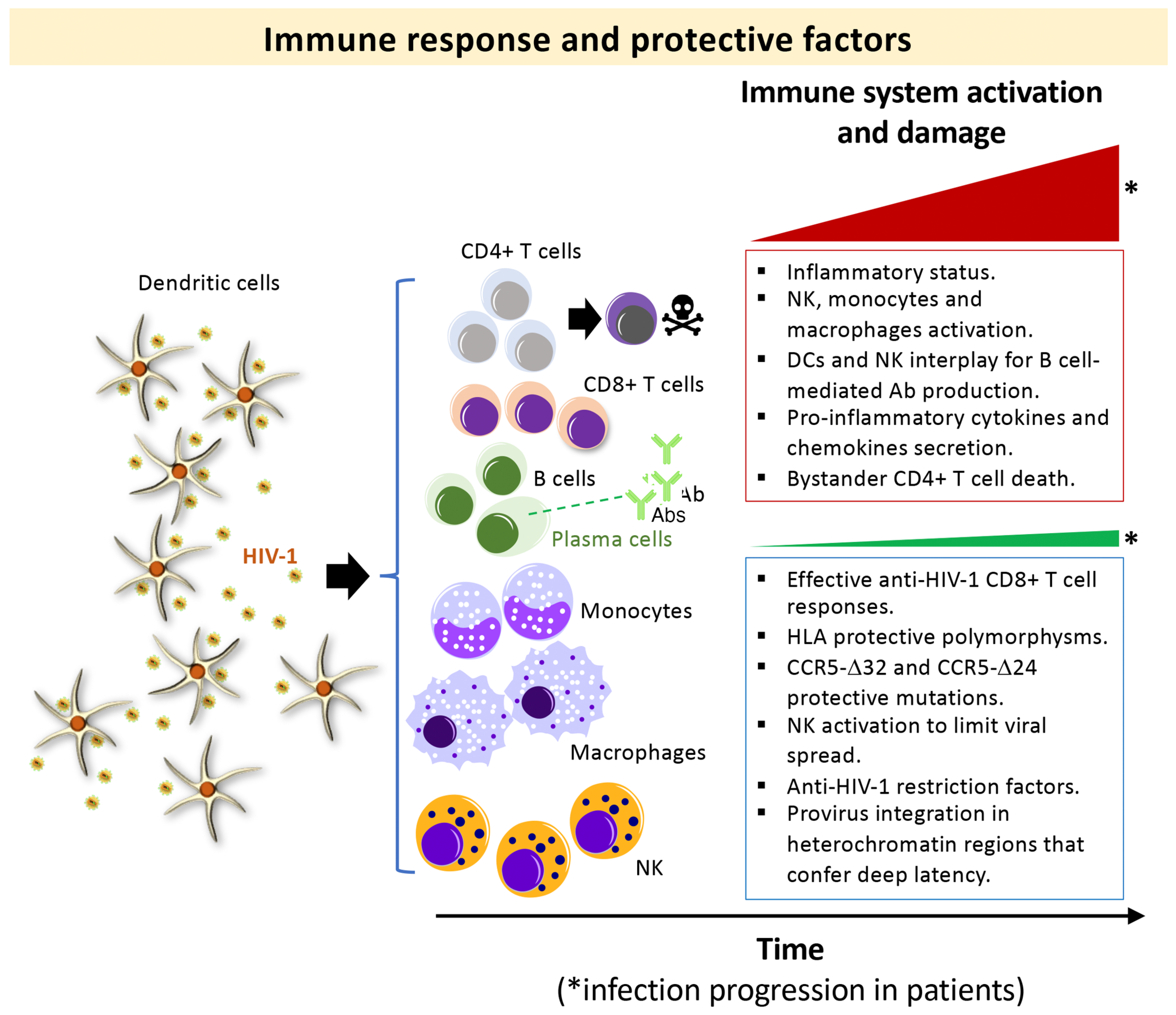 Biomedicines 10 02172 g001
