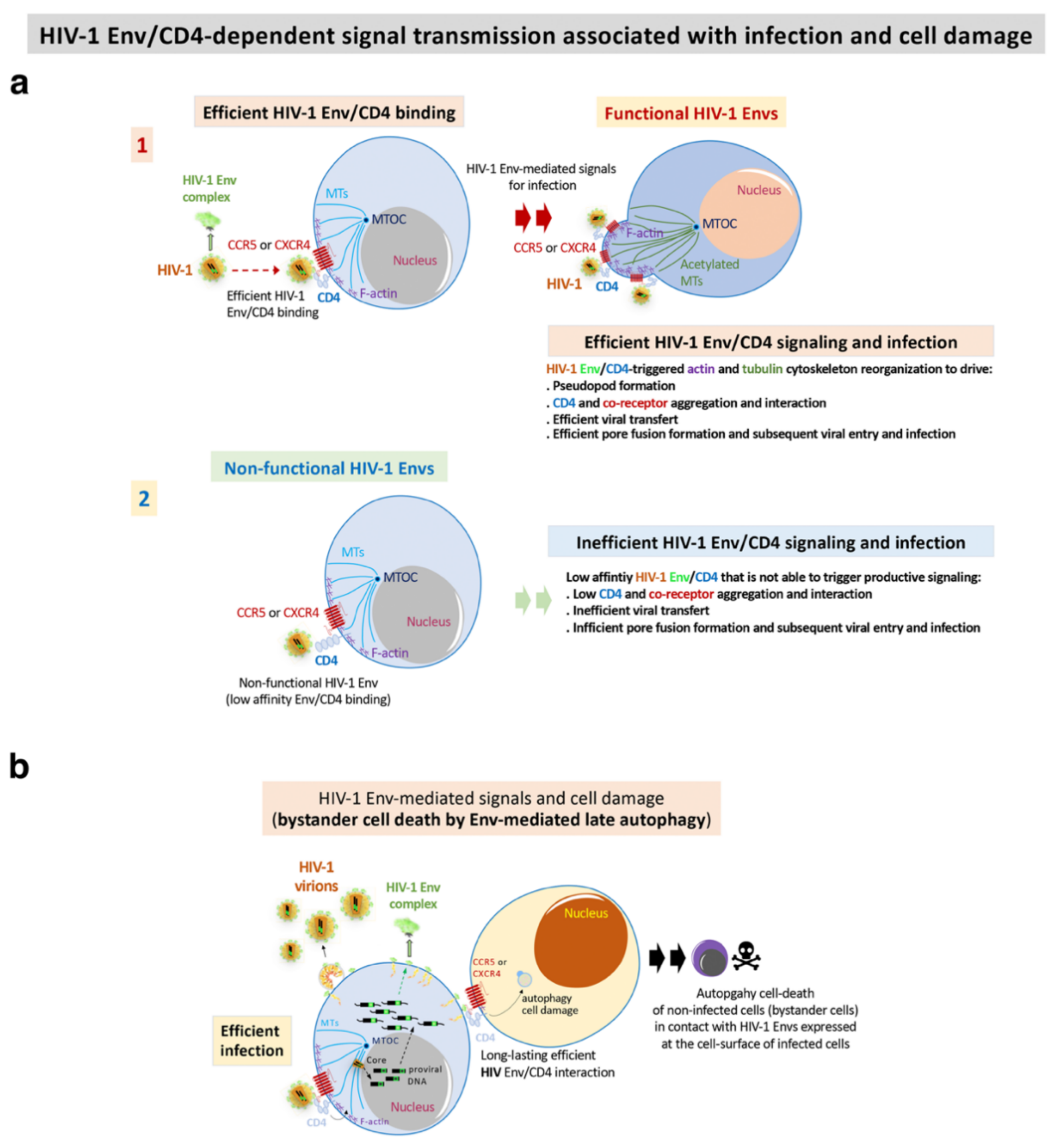 Biomedicines 10 02172 g003