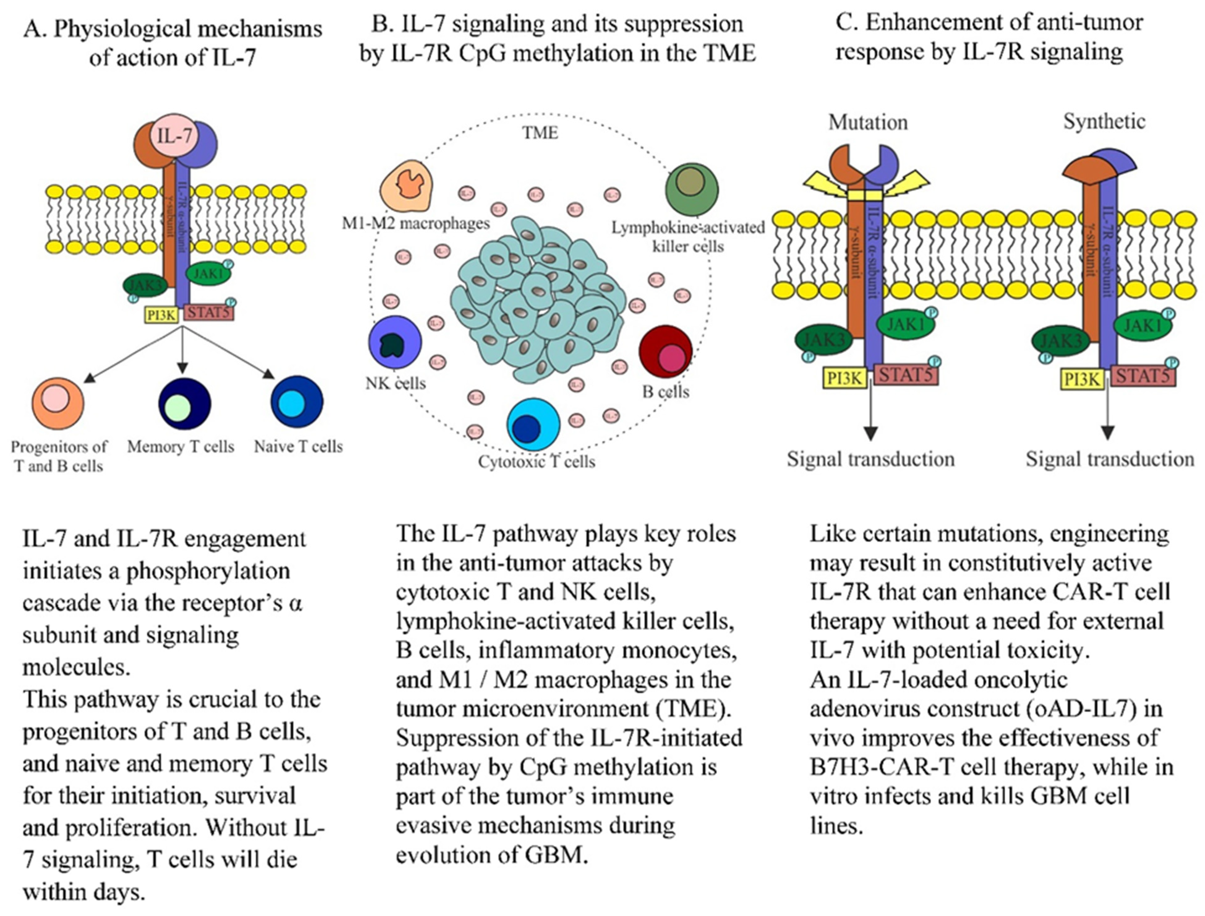 Biomedicines 10 02174 g001