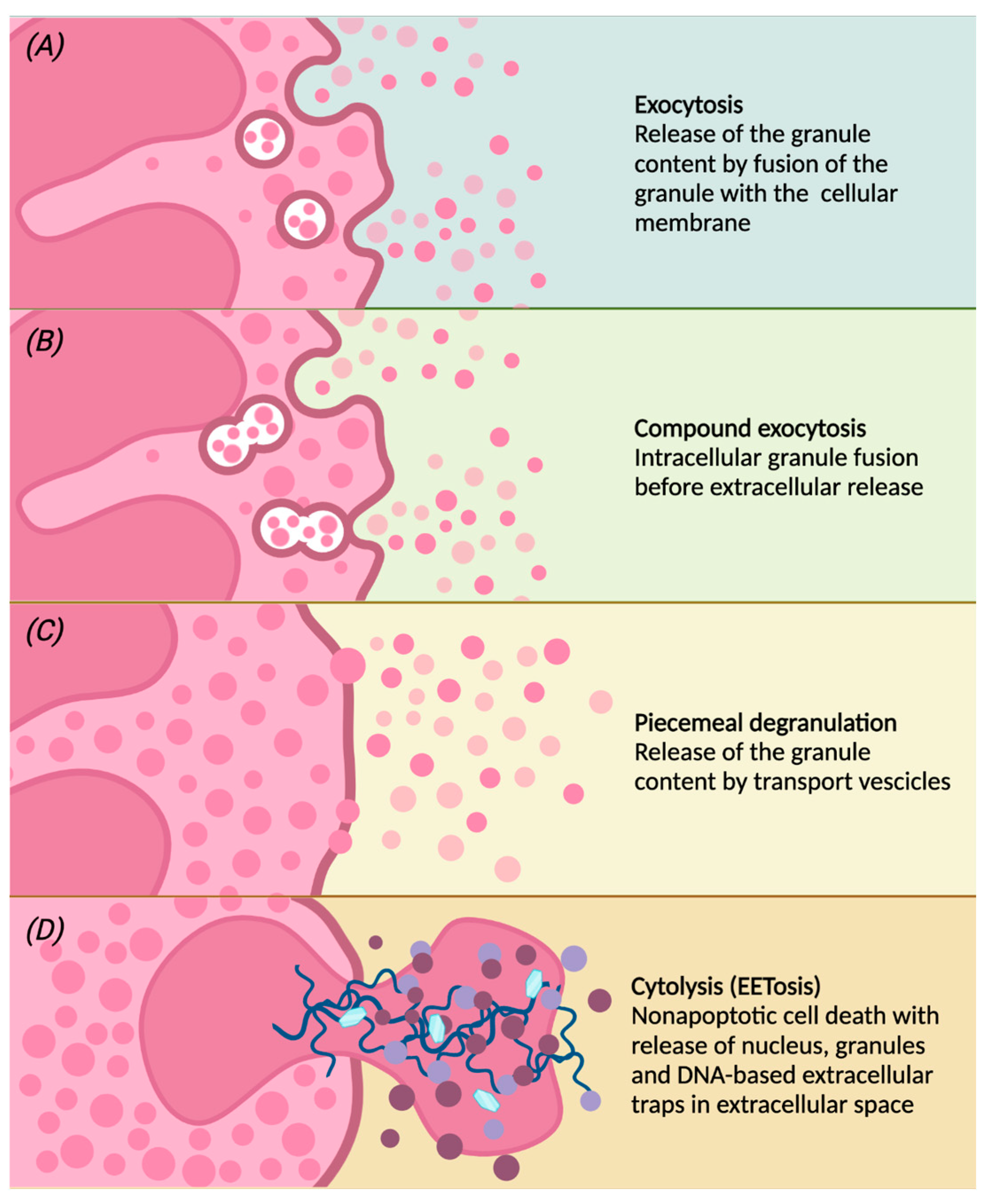 Biomedicines 10 02181 g002 Biomedicines 10 02181 g002