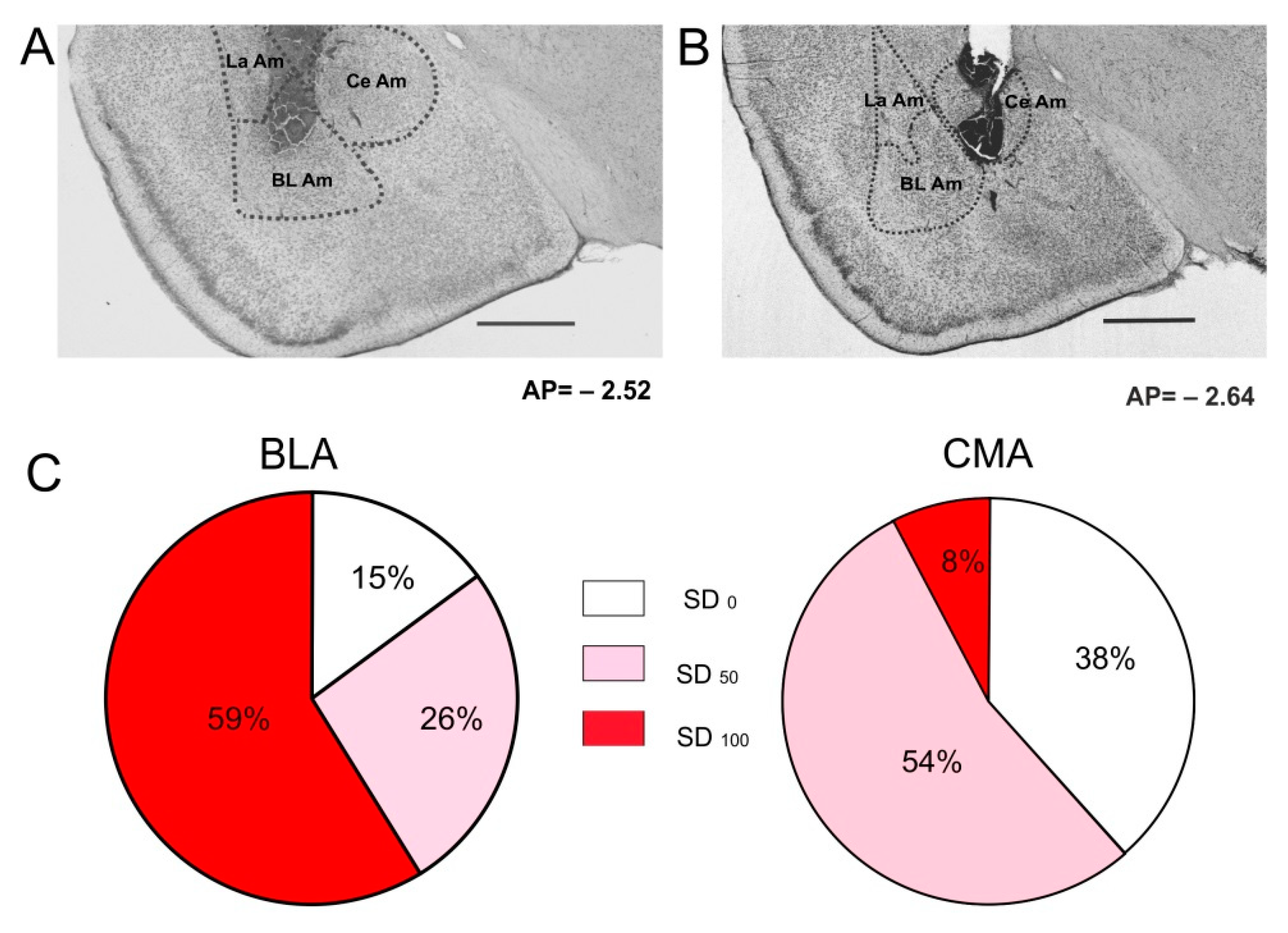Biomedicines 10 02183 g002
