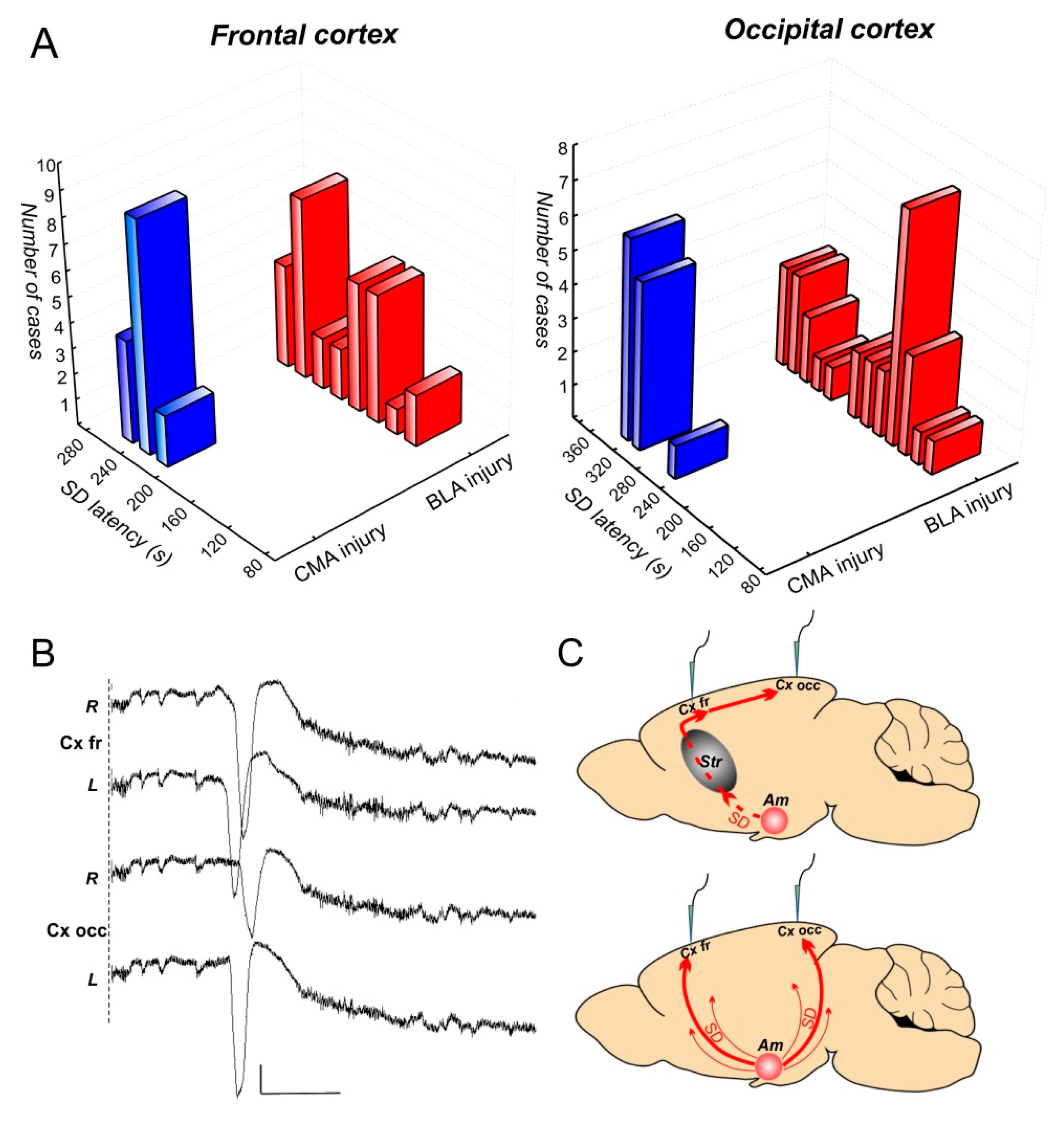 Biomedicines 10 02183 g003