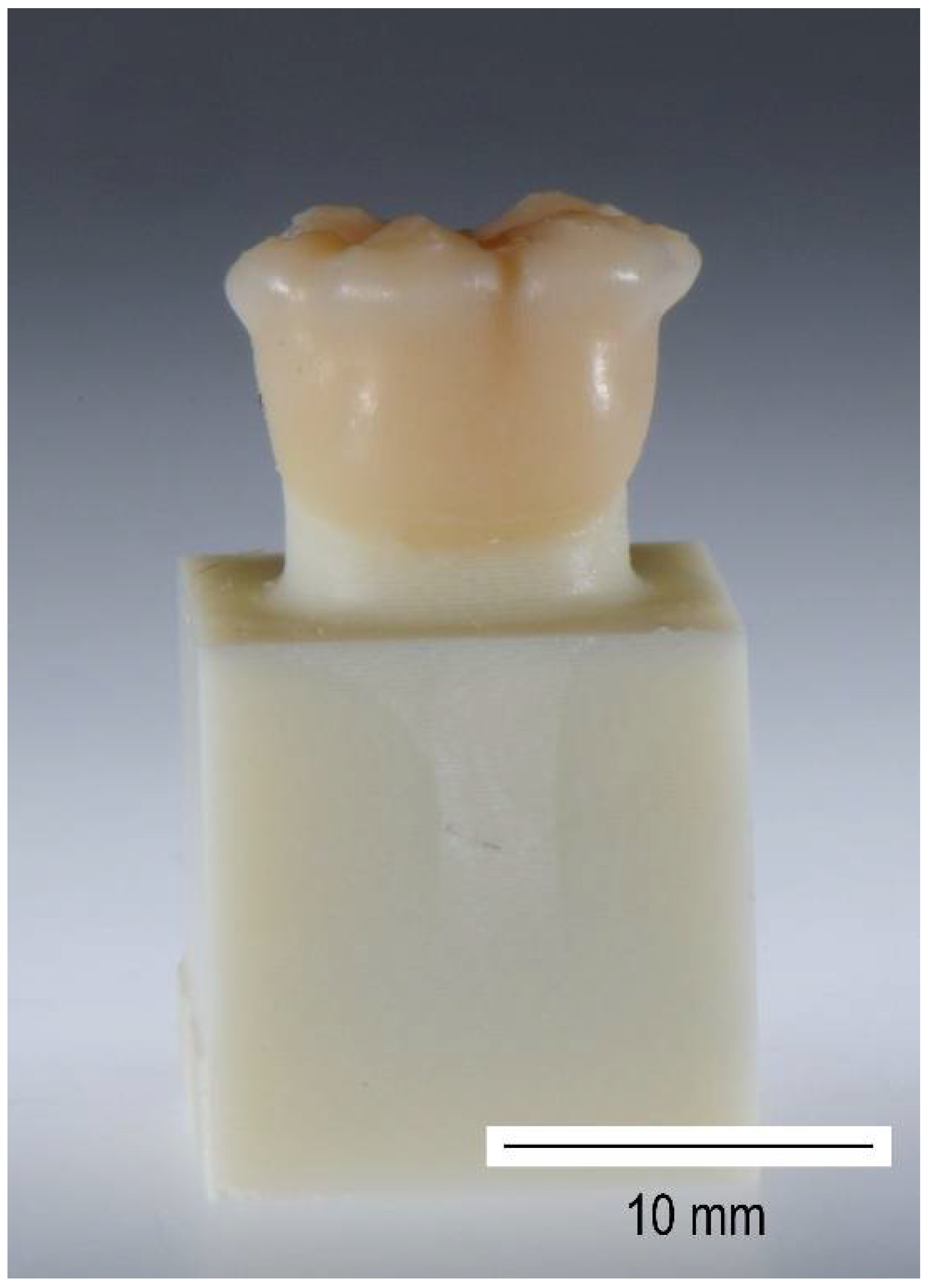 Biomedicines 10 02186 g004 Biomedicines 10 02186 g004