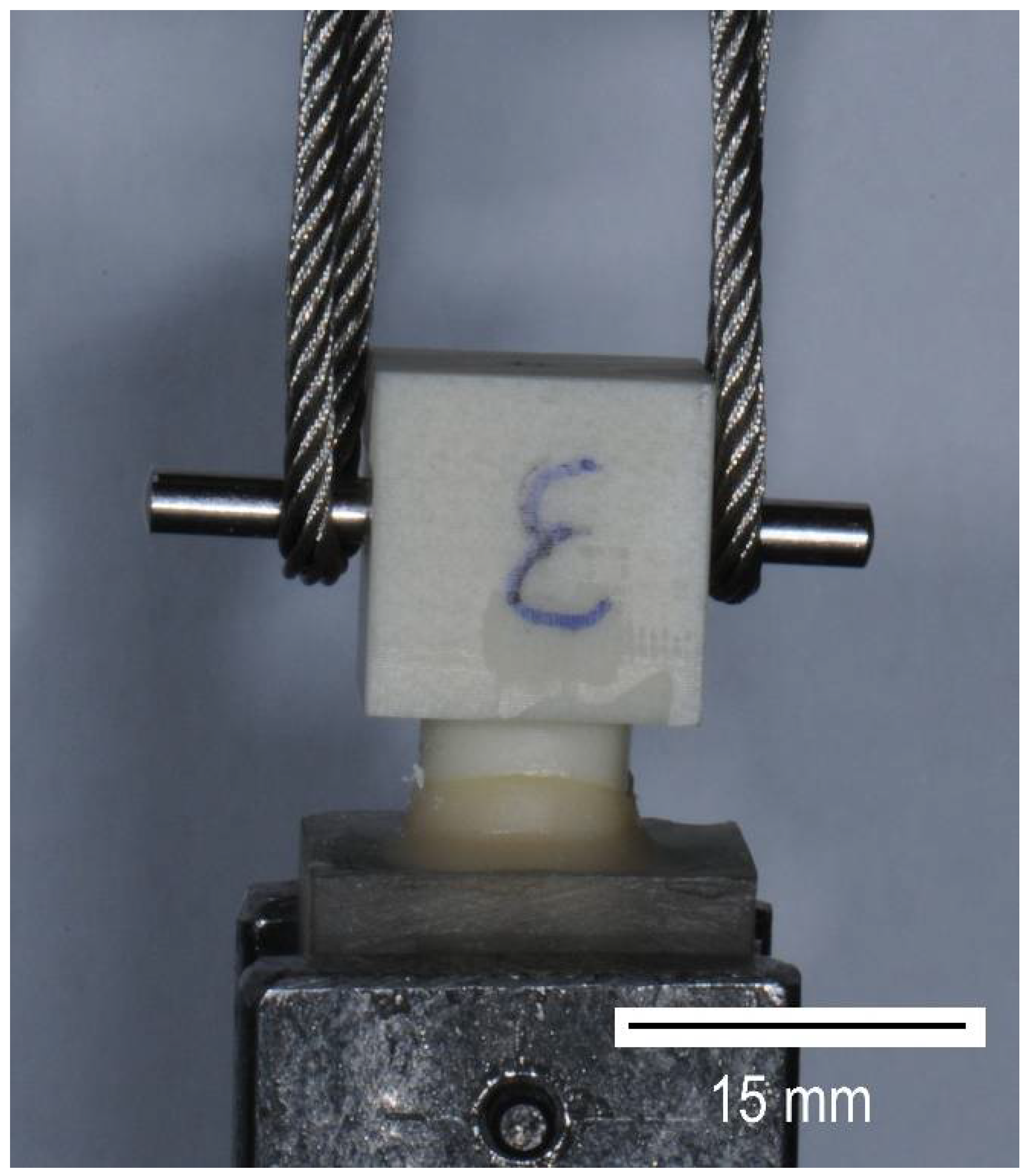 Biomedicines 10 02186 g006 Biomedicines 10 02186 g006