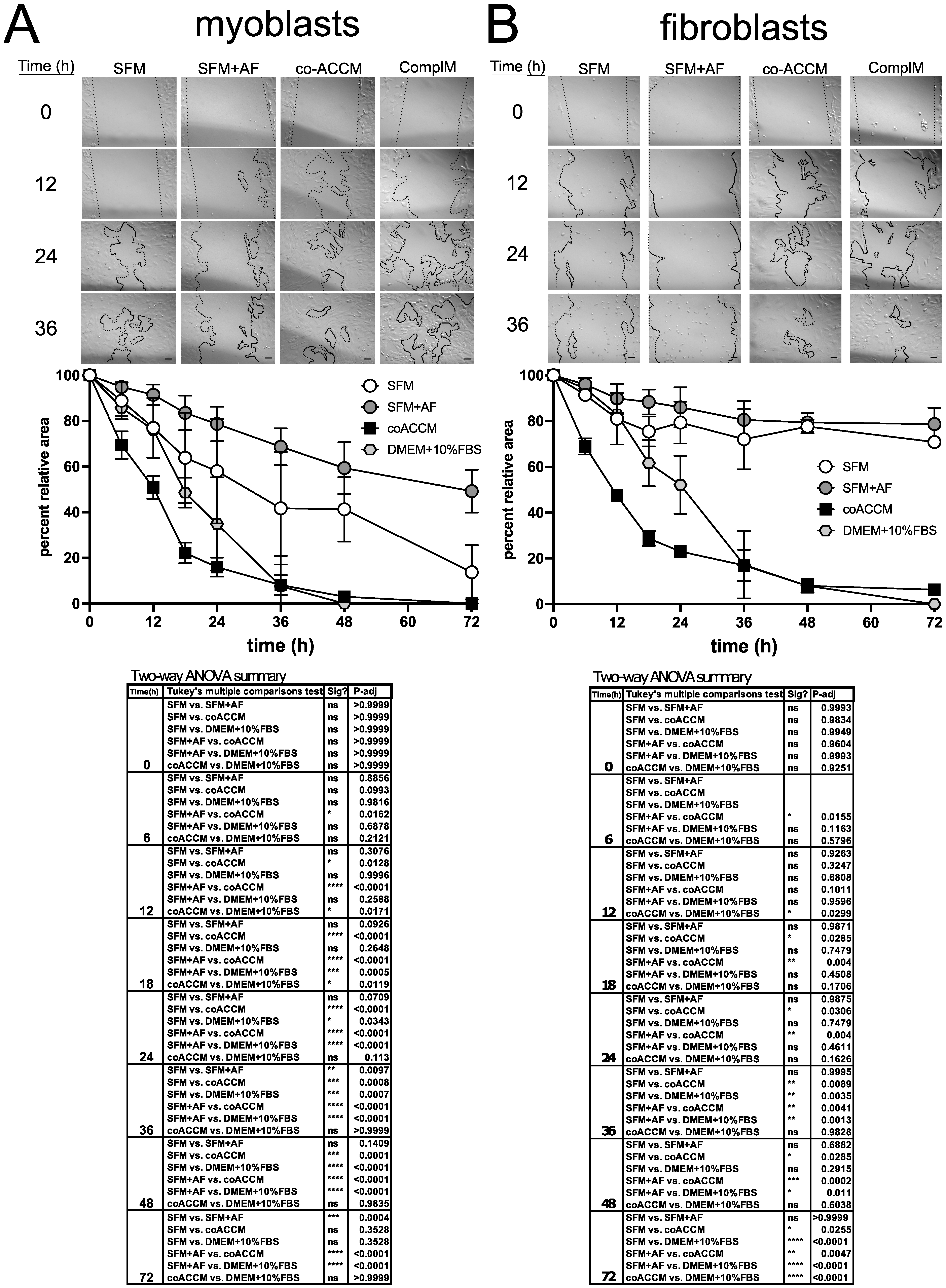Biomedicines 10 02189 g002