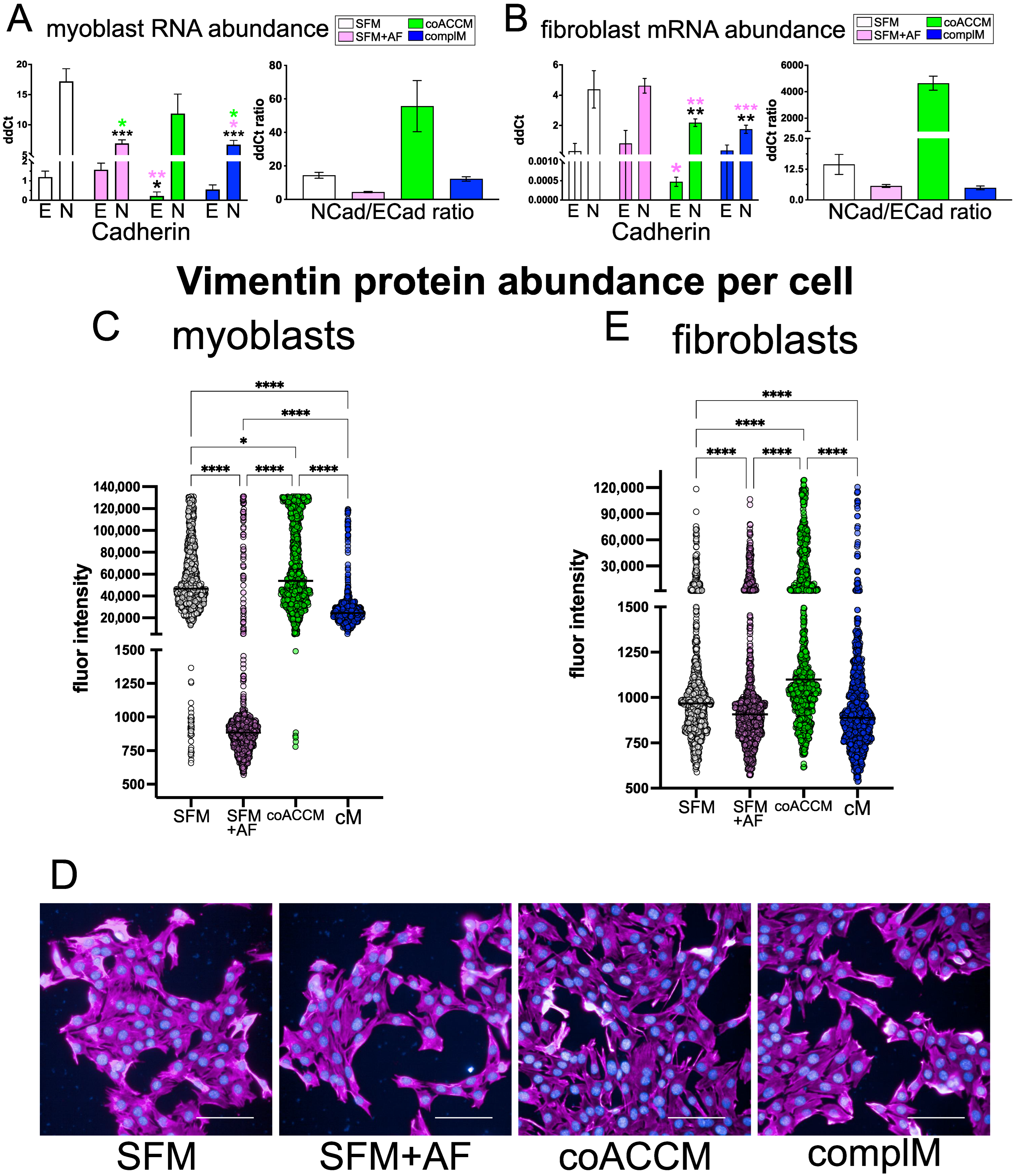 Biomedicines 10 02189 g003
