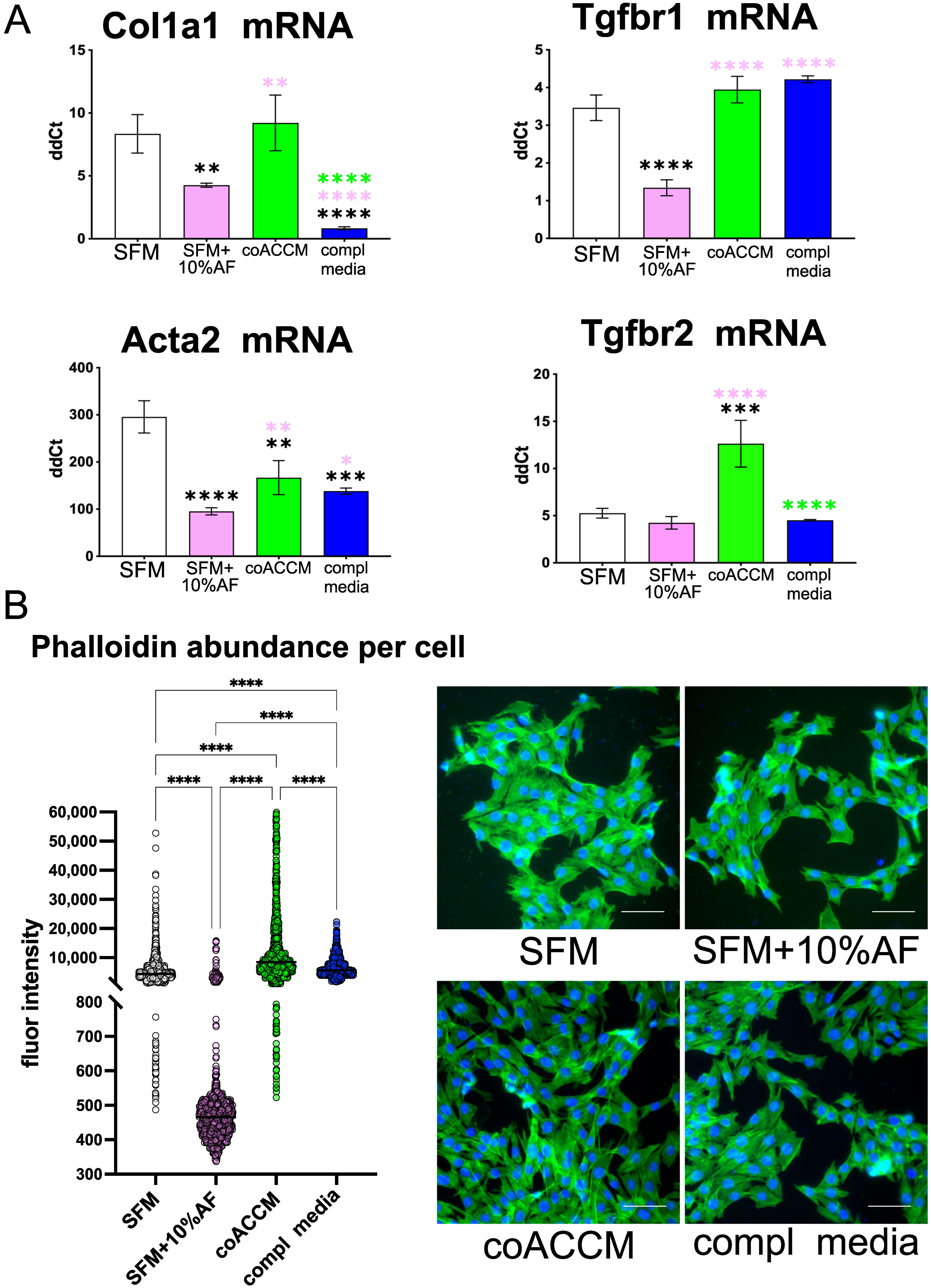 Biomedicines 10 02189 g004