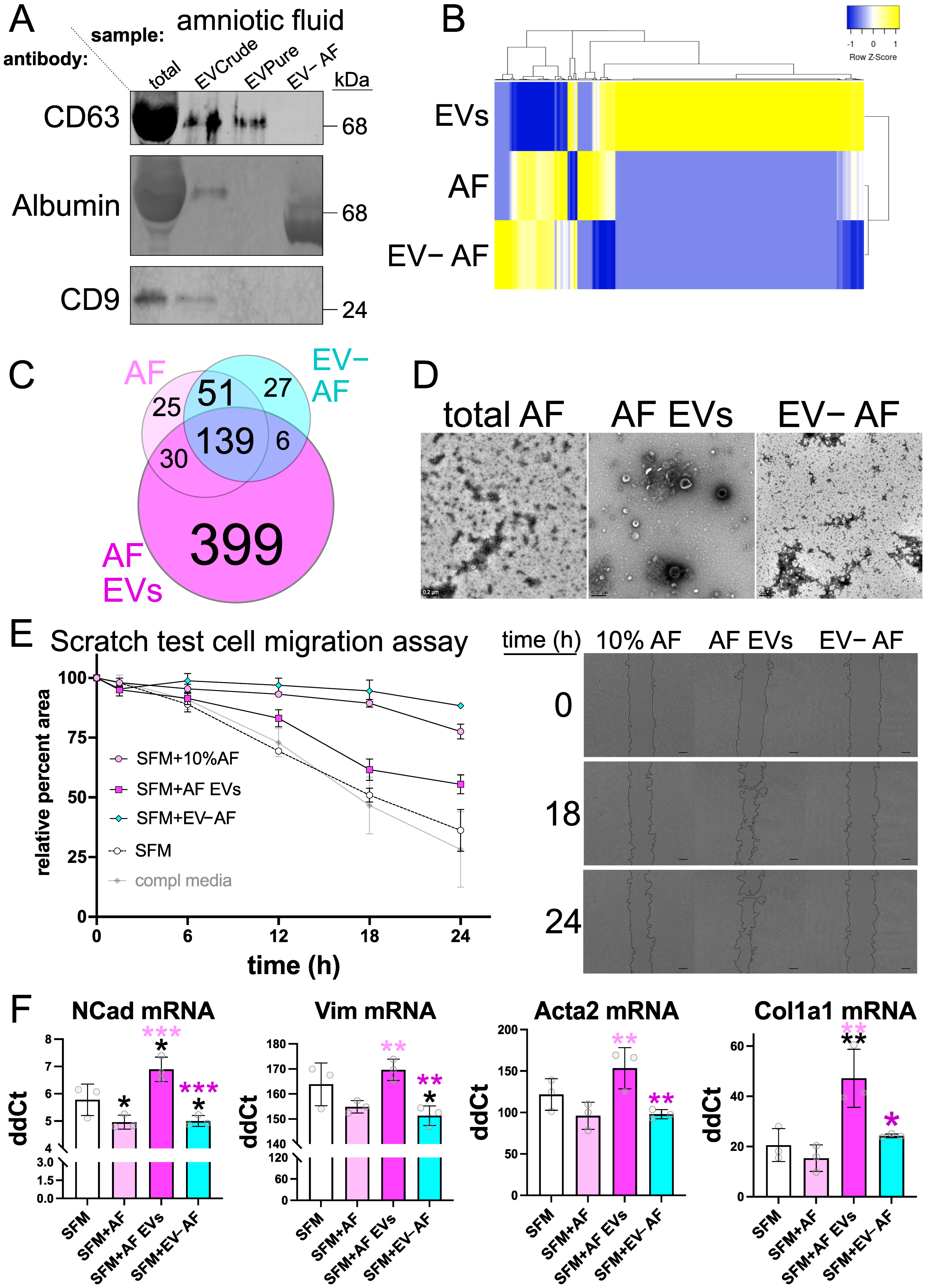 Biomedicines 10 02189 g006