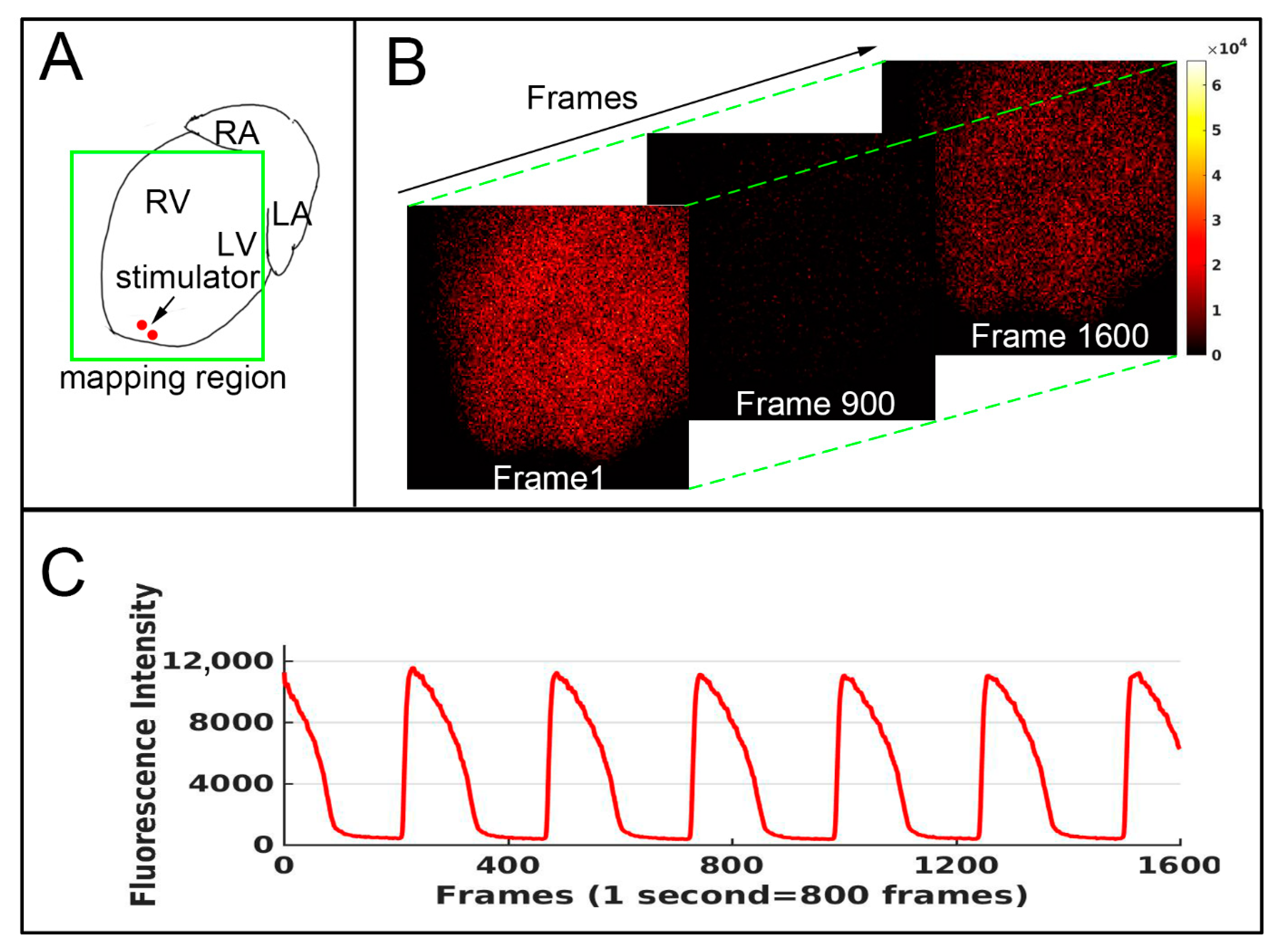 Biomedicines 10 02197 g001