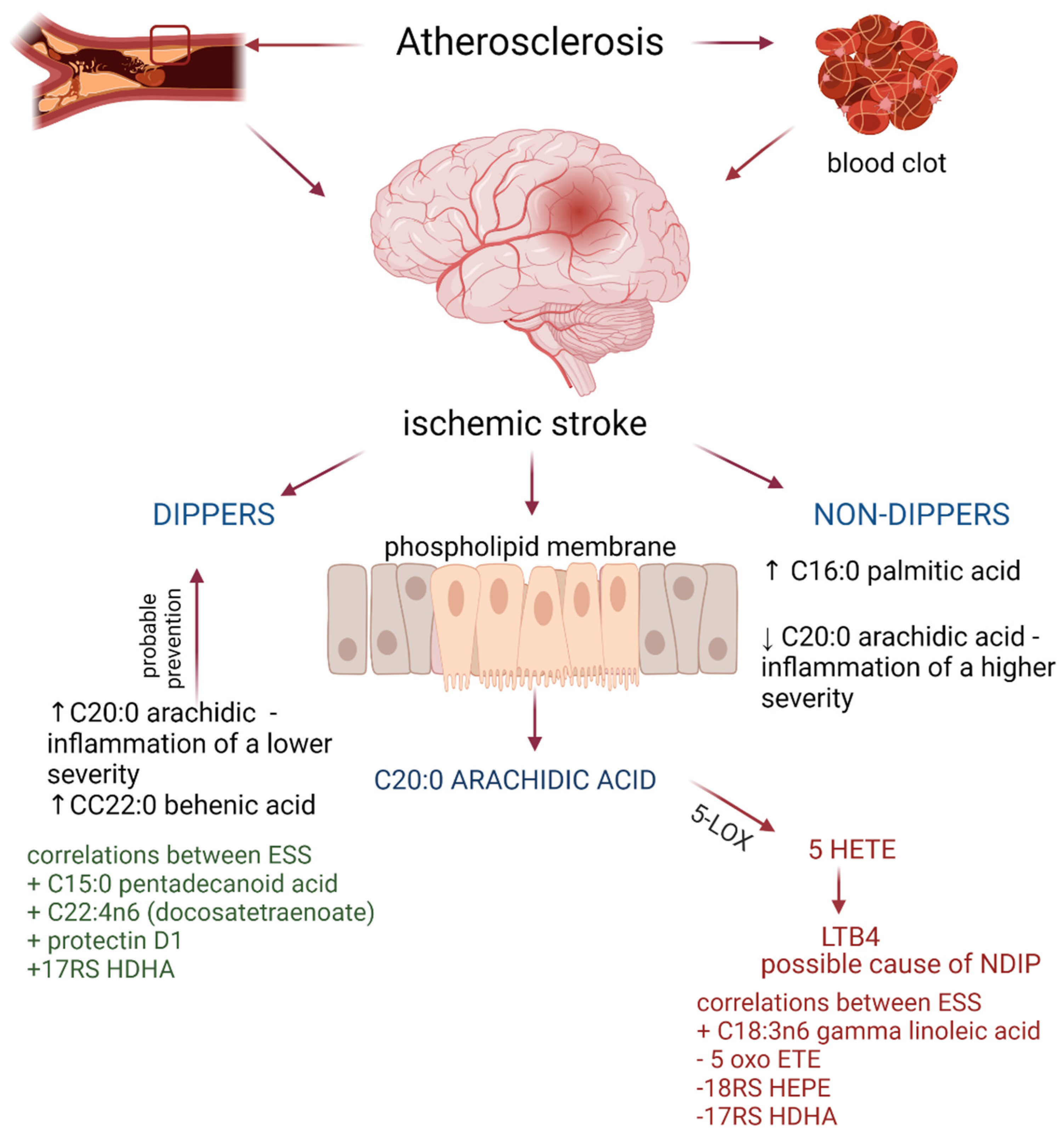 Biomedicines 10 02200 g001