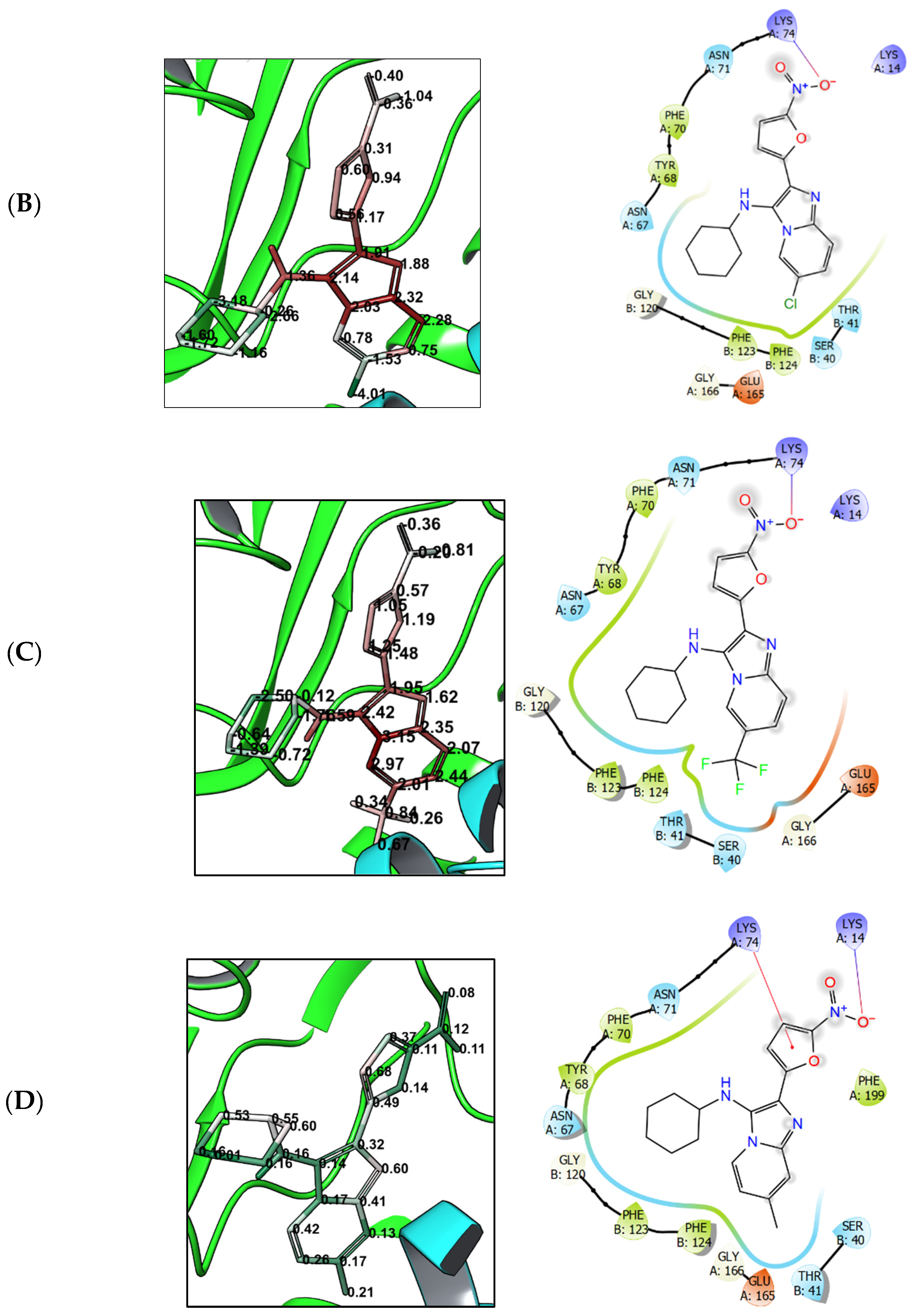 Biomedicines 10 02203 g004b Biomedicines 10 02203 g004b