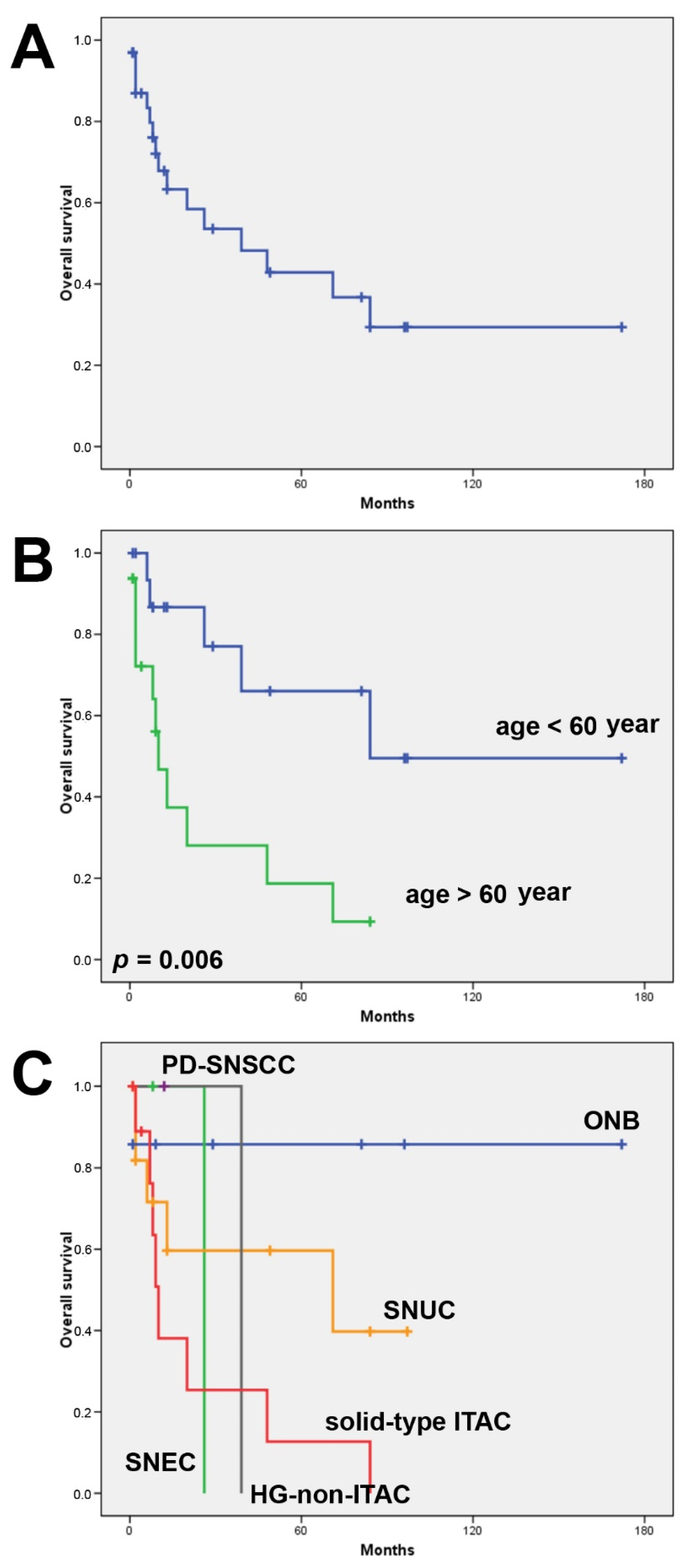 Biomedicines 10 02205 g002