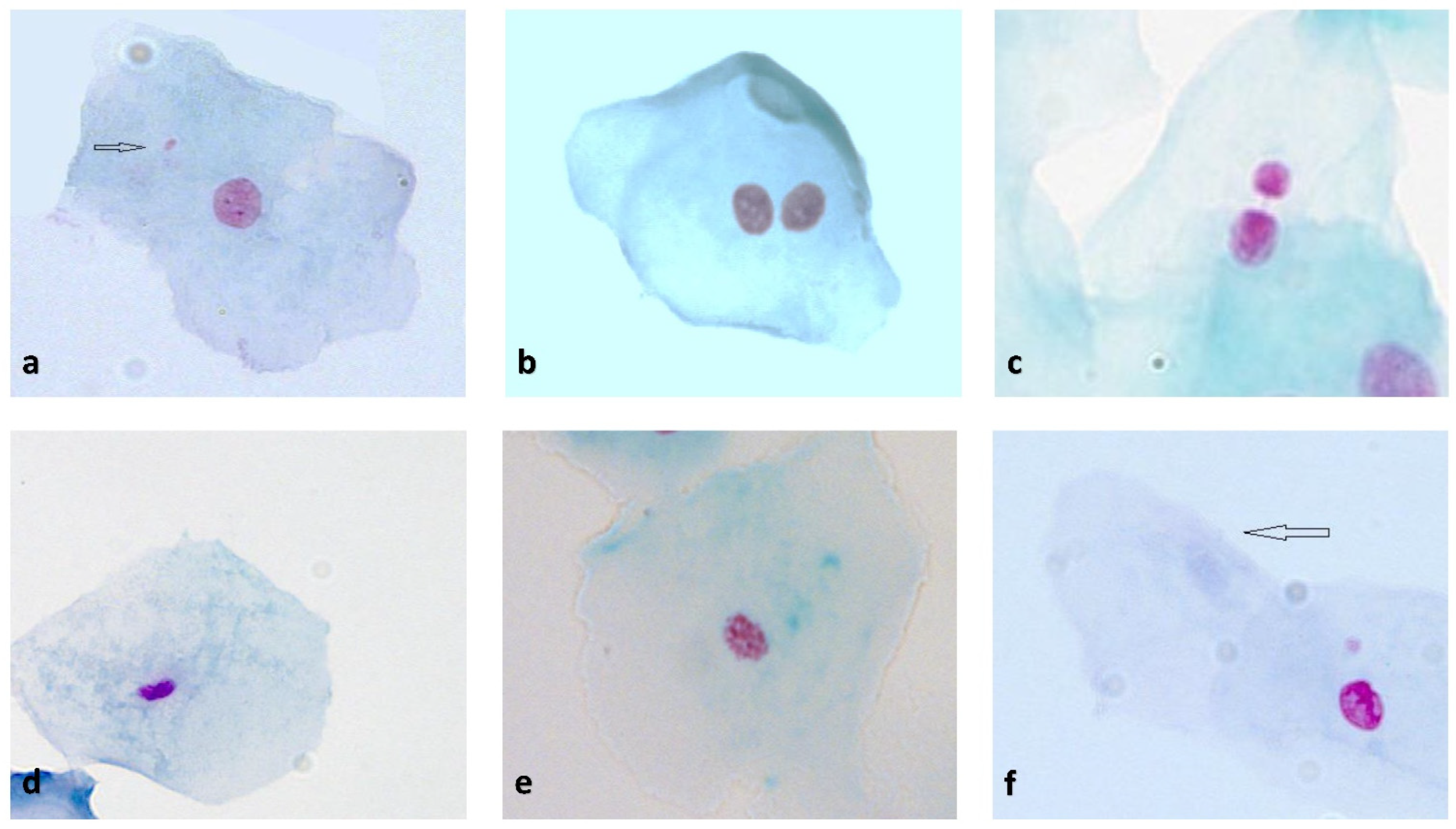 Biomedicines 10 02206 g002