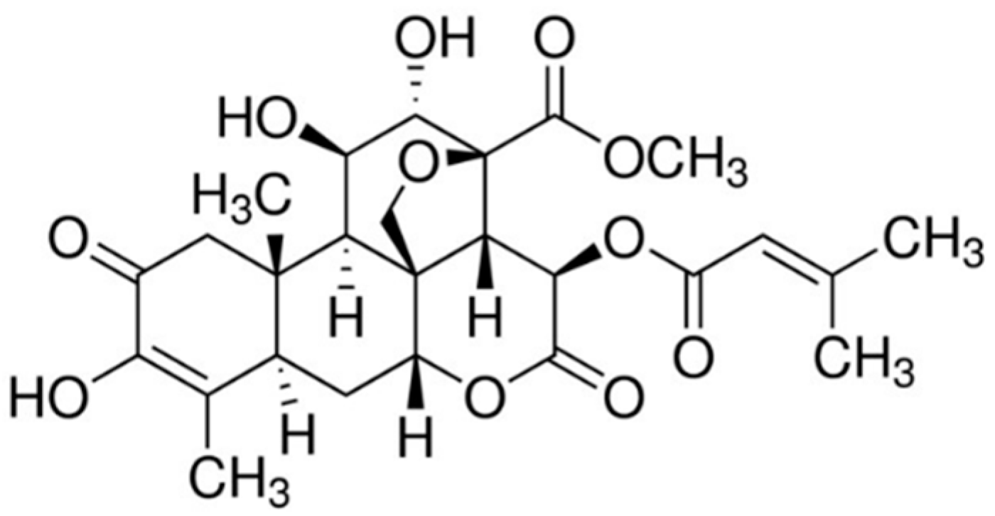 Biomedicines 10 02207 g001