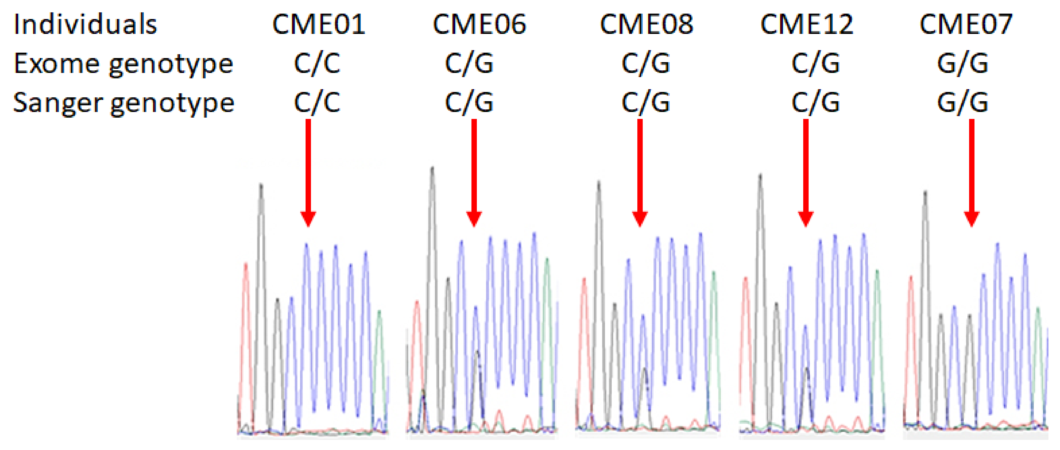 Biomedicines 10 02215 g002