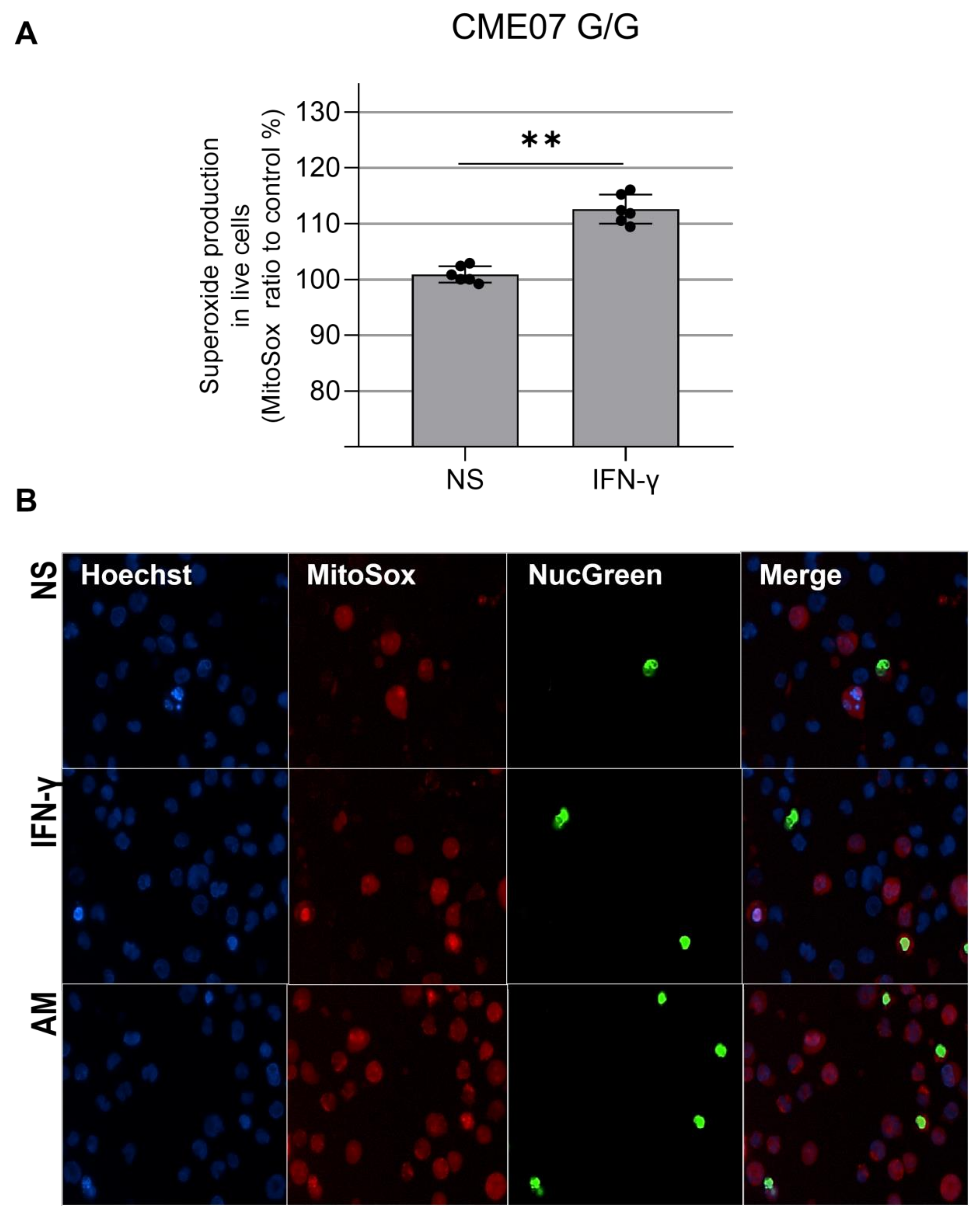 Biomedicines 10 02215 g004