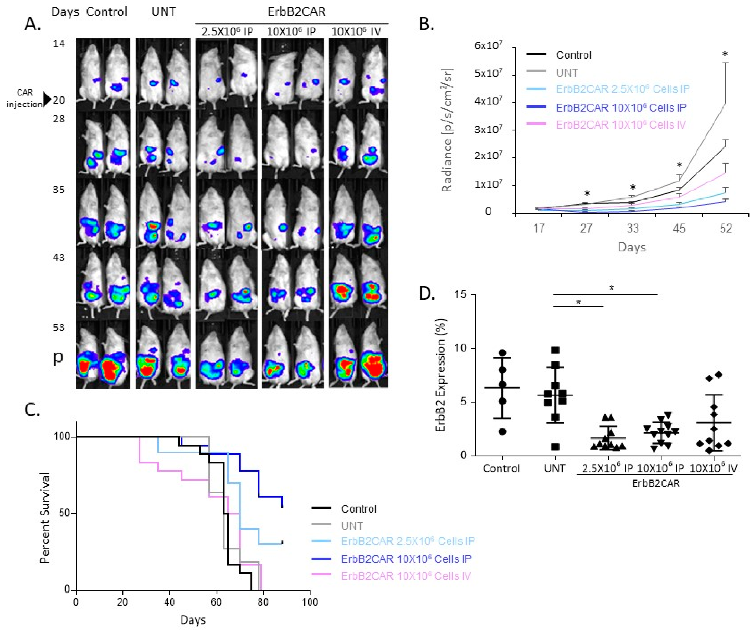 Biomedicines 10 02216 g002 550