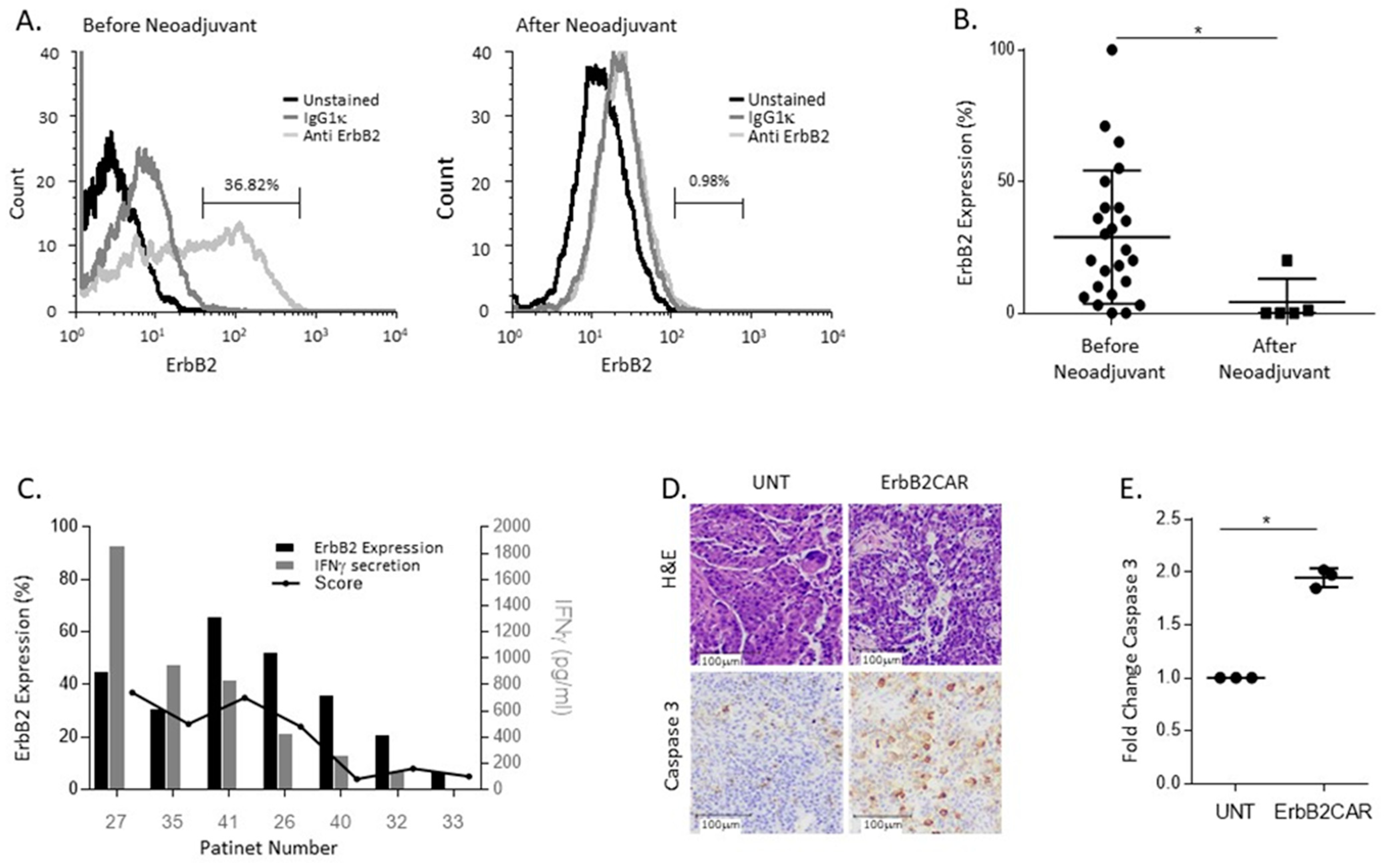 Biomedicines 10 02216 g004 550