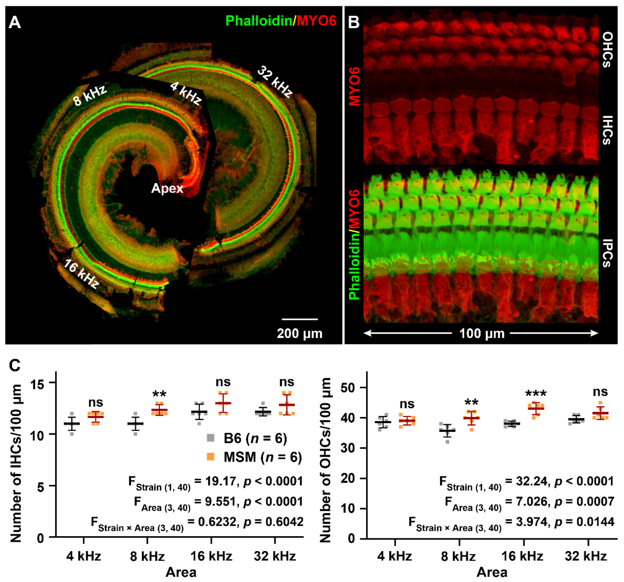 Biomedicines 10 02221 g002 Biomedicines 10 02221 g002