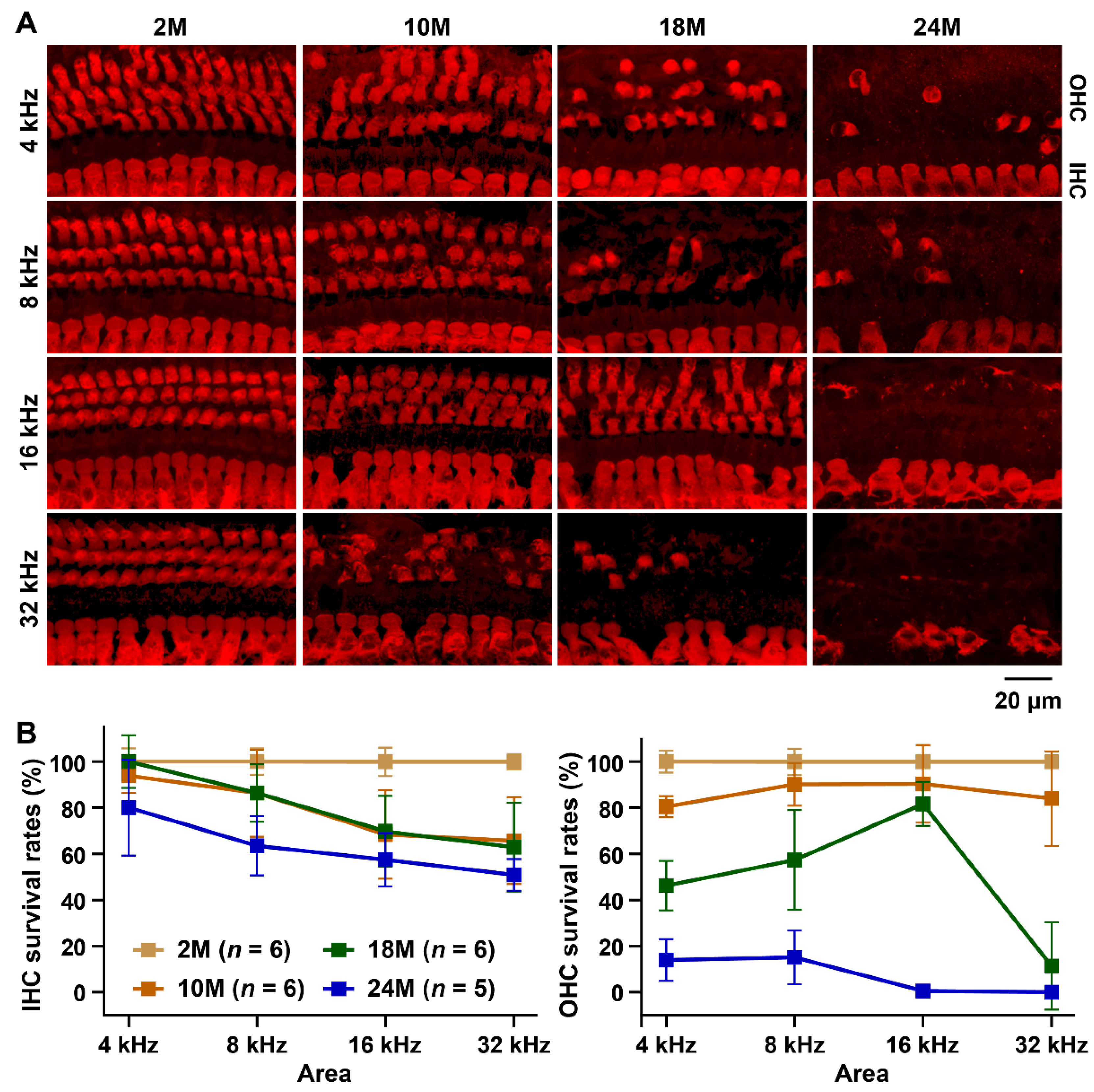 Biomedicines 10 02221 g003 Biomedicines 10 02221 g003