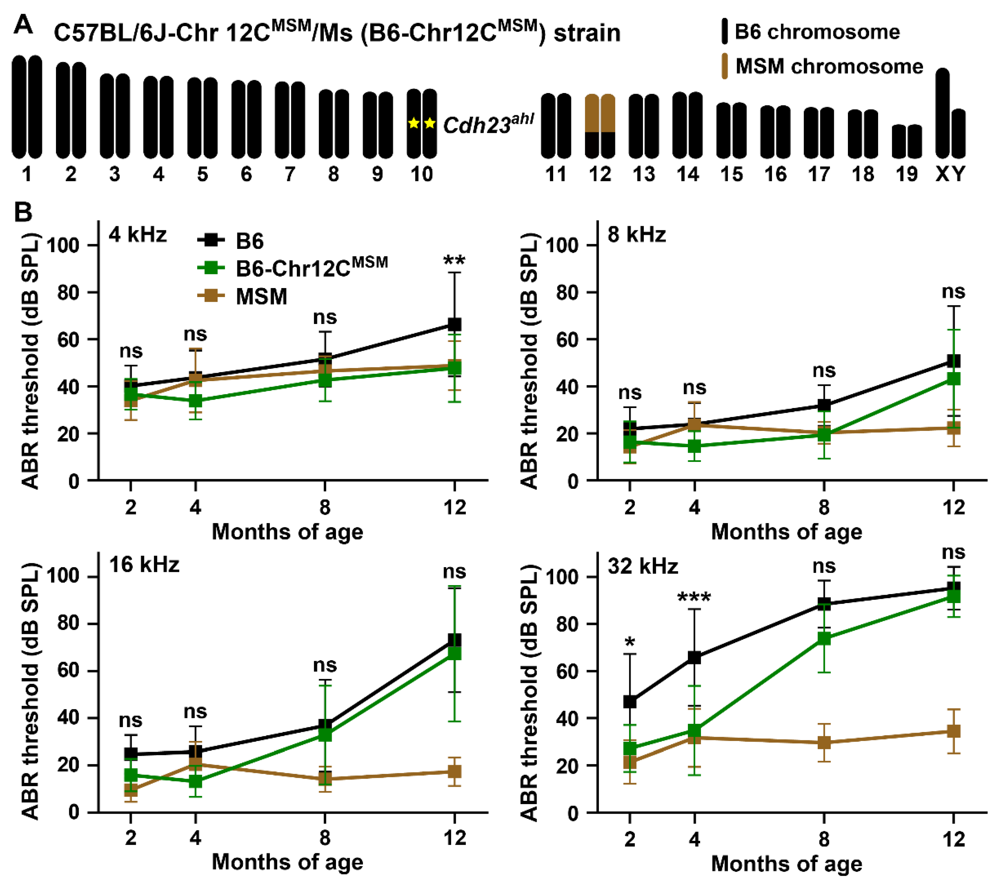 Biomedicines 10 02221 g008 Biomedicines 10 02221 g008
