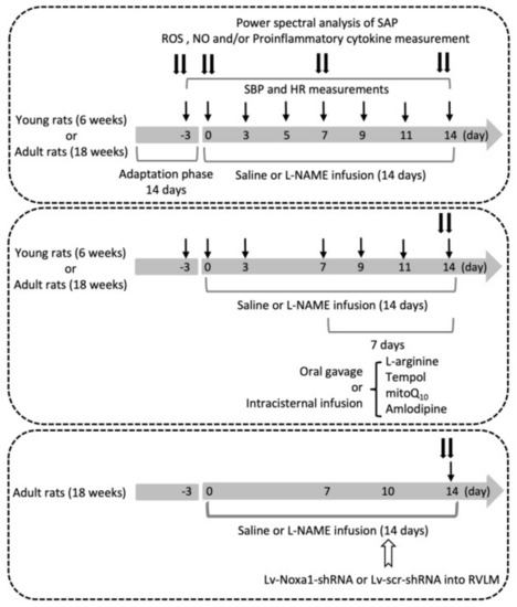 Biomedicines, Free Full-Text