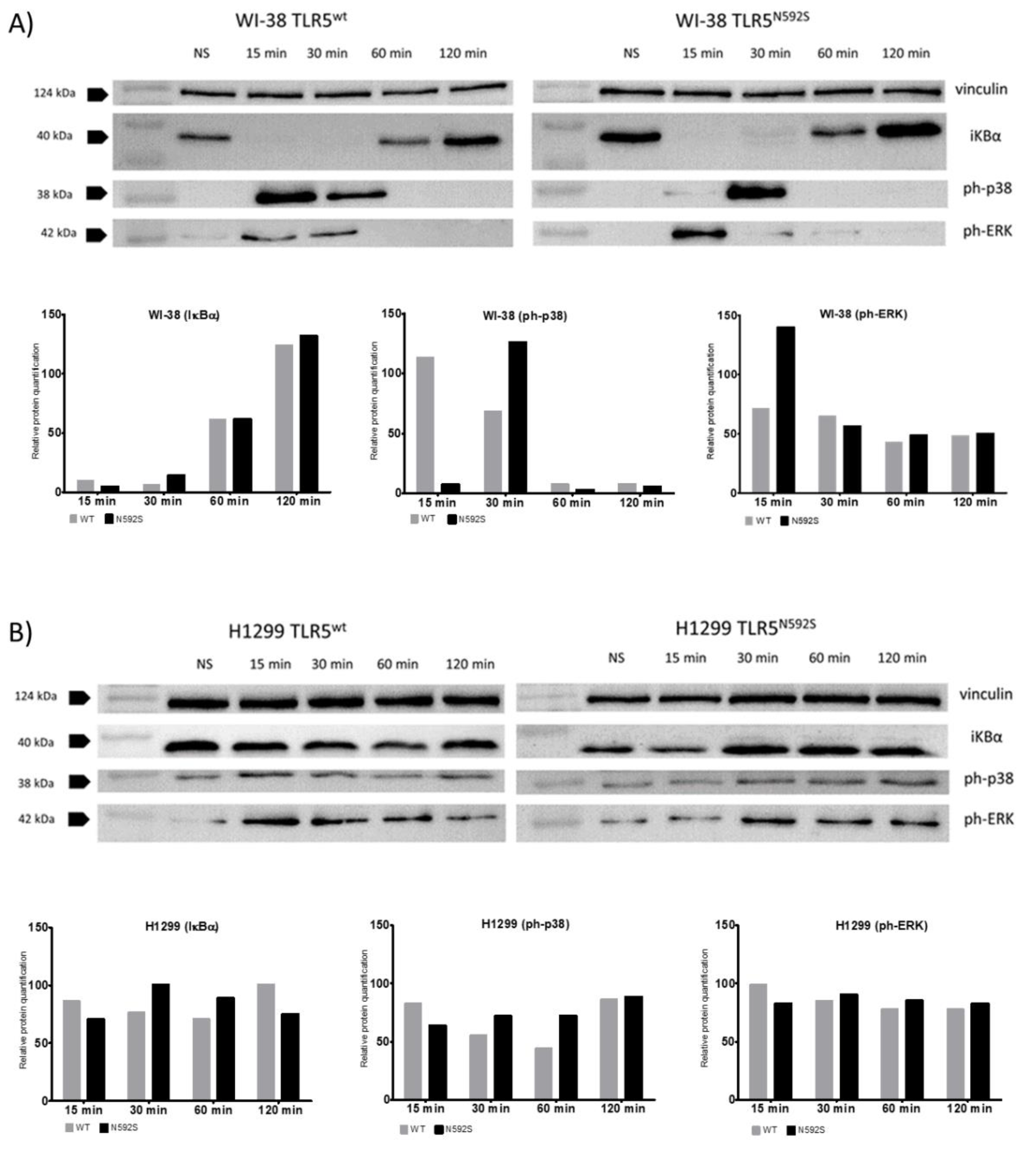 Biomedicines 10 02240 g003 550
