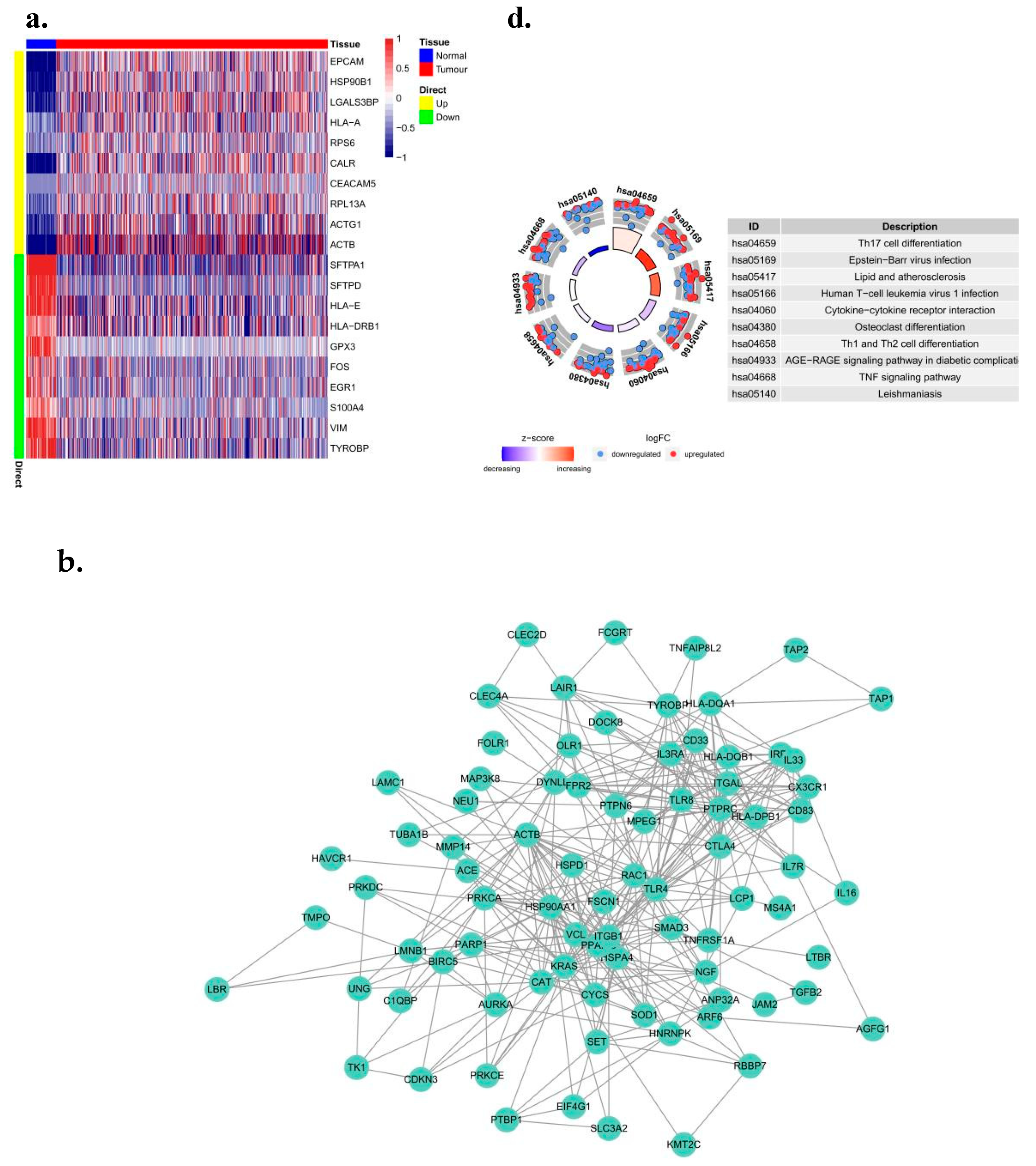 Biomedicines 10 02248 g001a