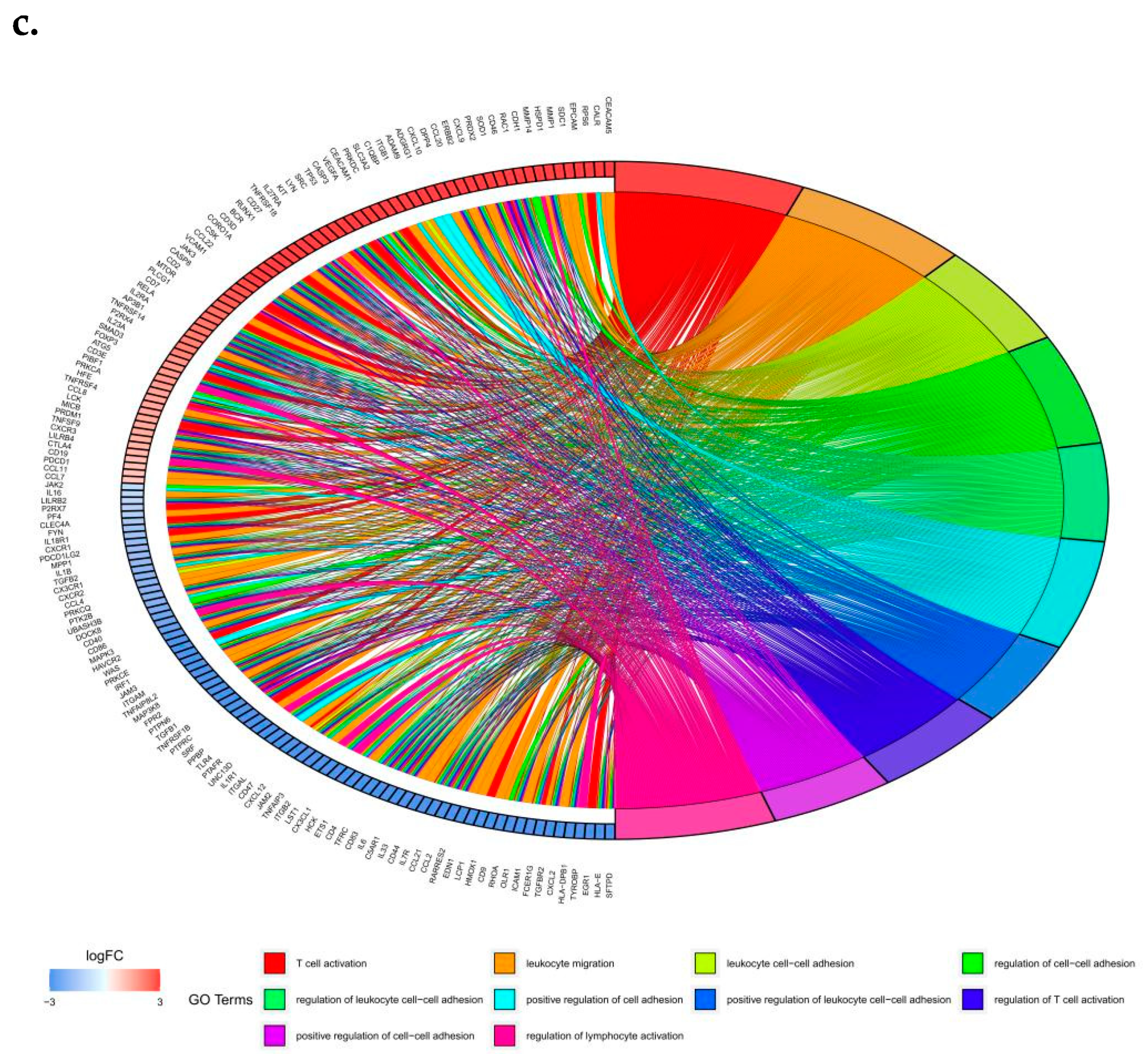 Biomedicines 10 02248 g001b