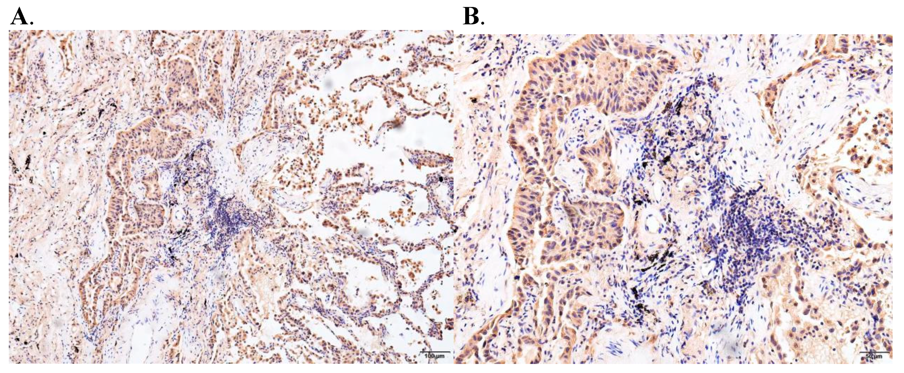 Biomedicines 10 02248 g009a