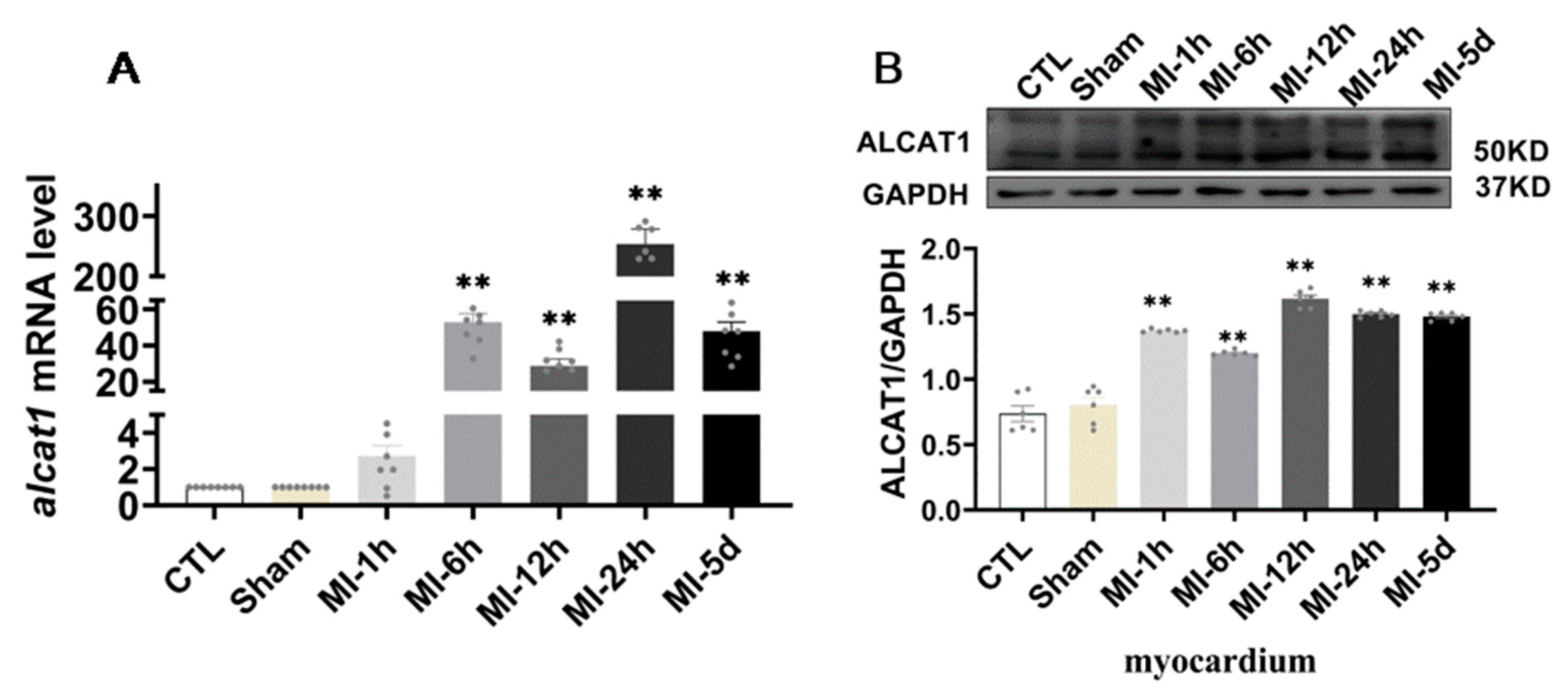 Biomedicines 10 02250 g002 Biomedicines 10 02250 g002