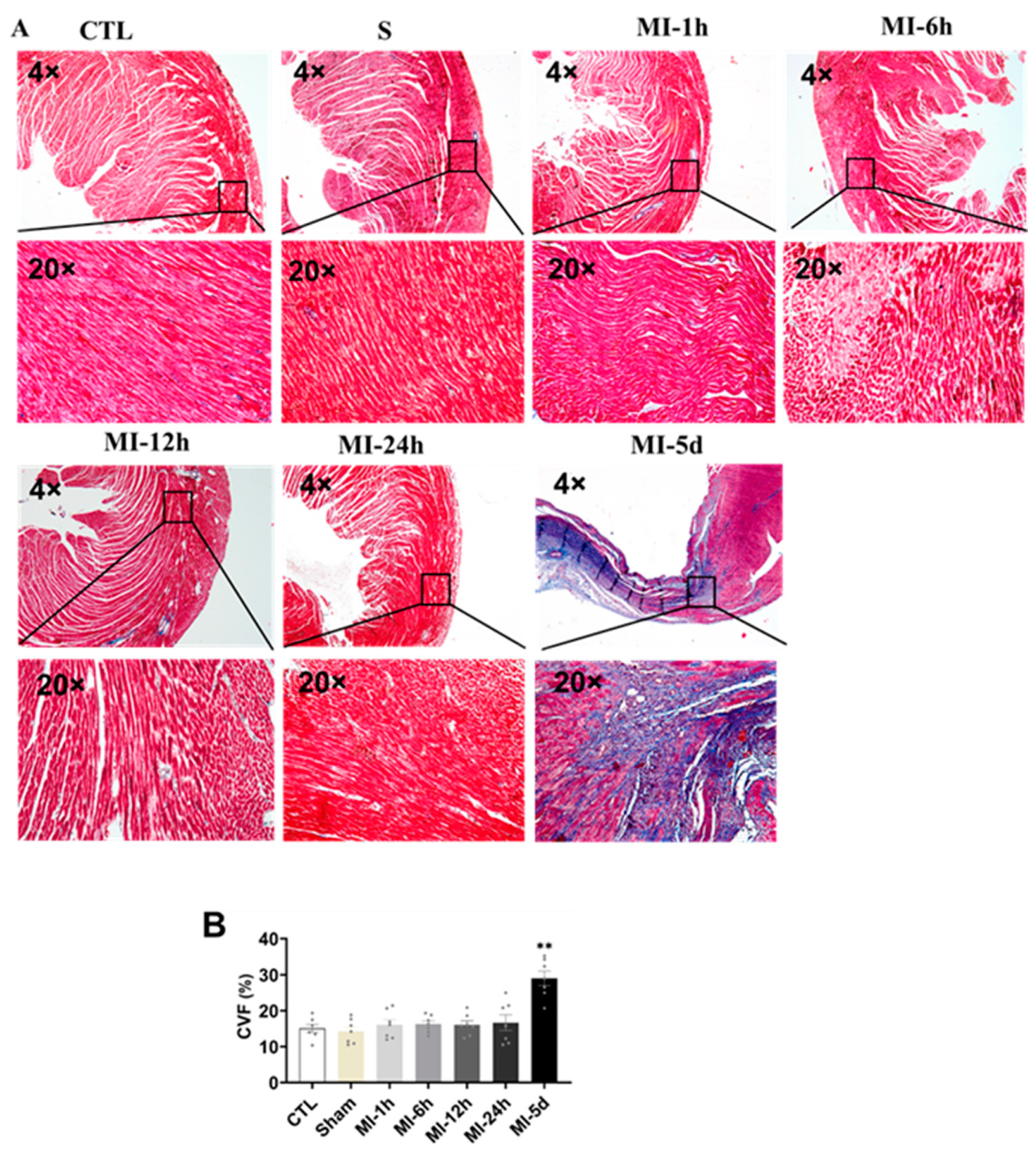 Biomedicines 10 02250 g004 Biomedicines 10 02250 g004