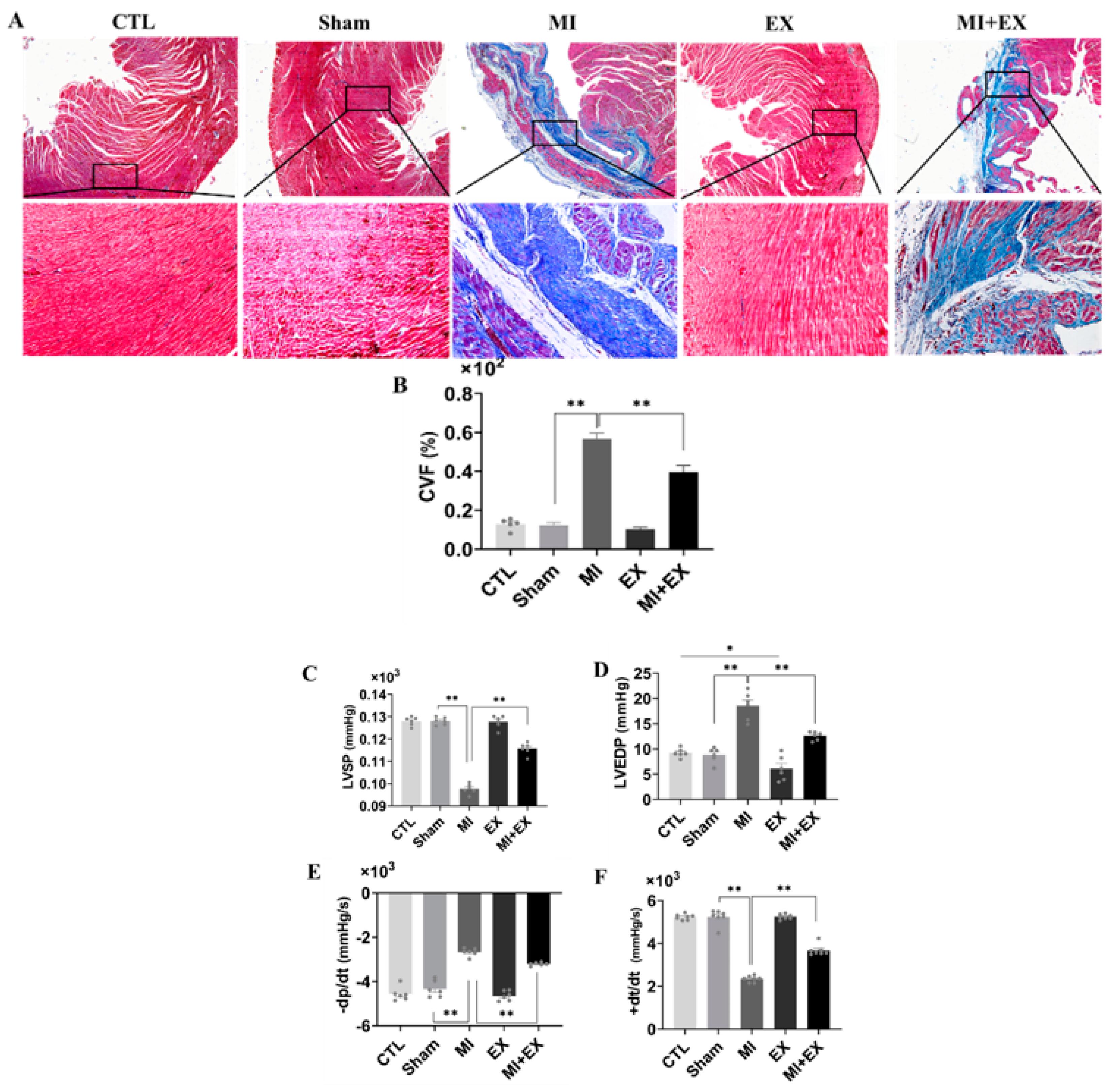 Biomedicines 10 02250 g006 Biomedicines 10 02250 g006