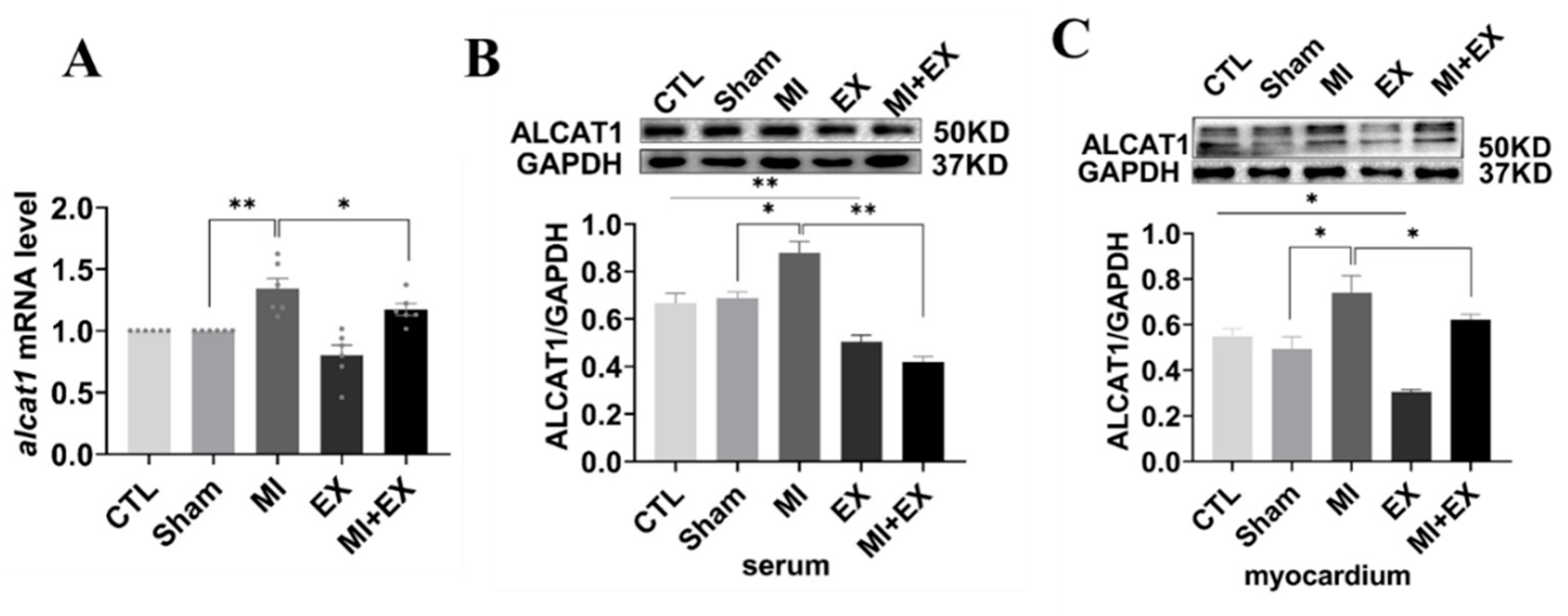 Biomedicines 10 02250 g007 Biomedicines 10 02250 g007