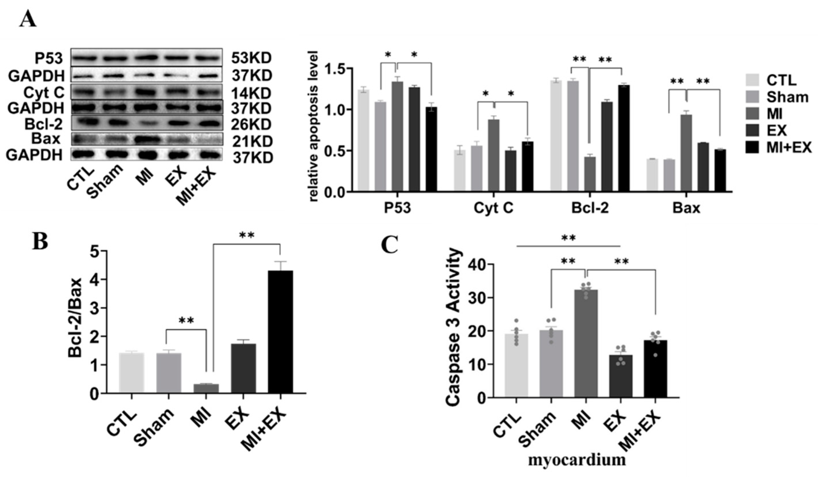 Biomedicines 10 02250 g009 Biomedicines 10 02250 g009