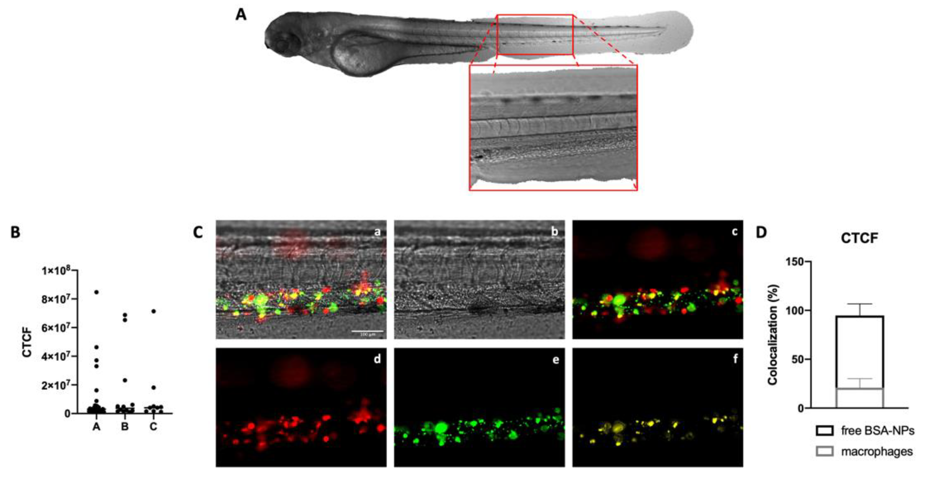 Biomedicines 10 02252 g003 550