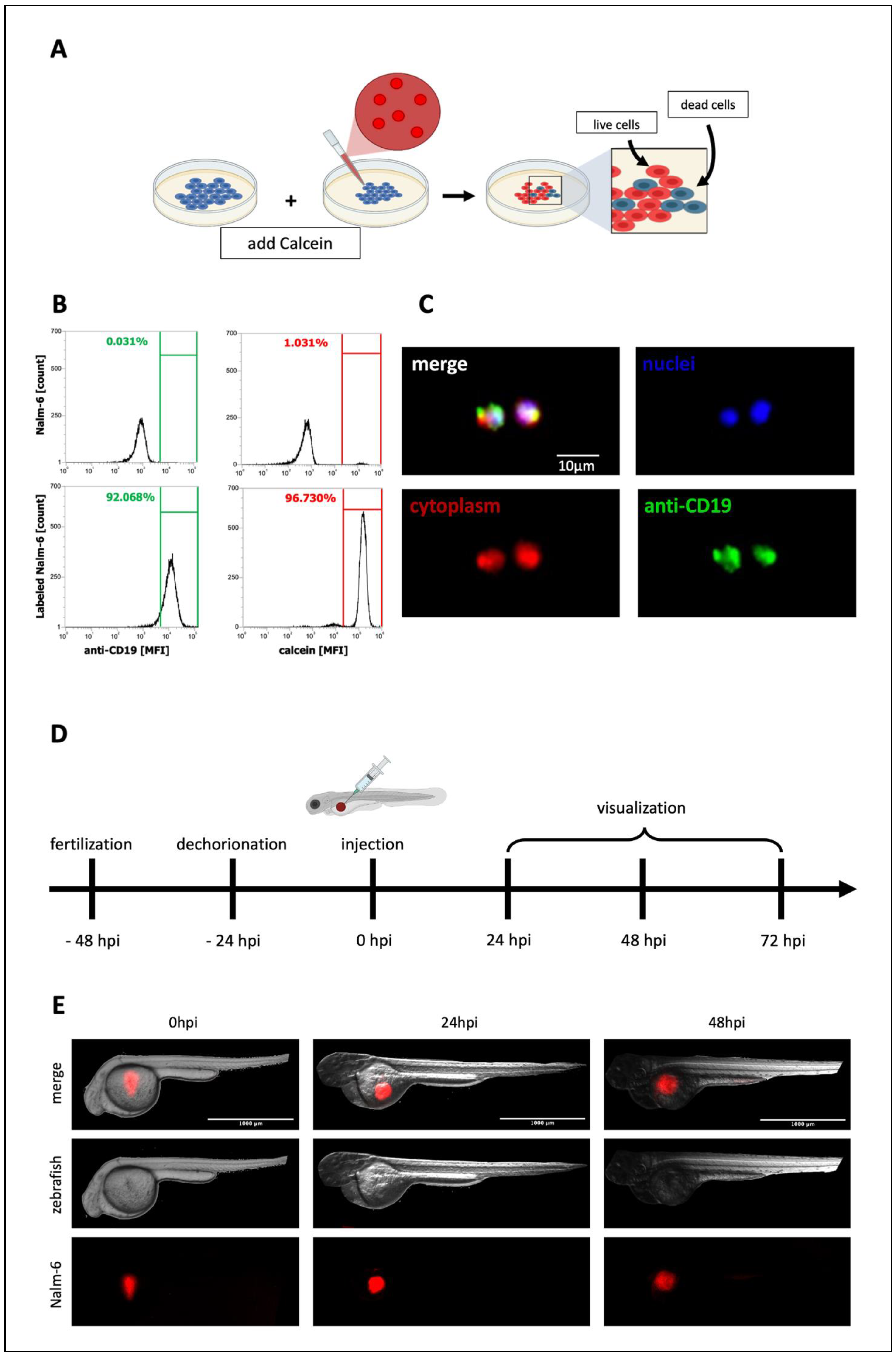 Biomedicines 10 02252 g004 550