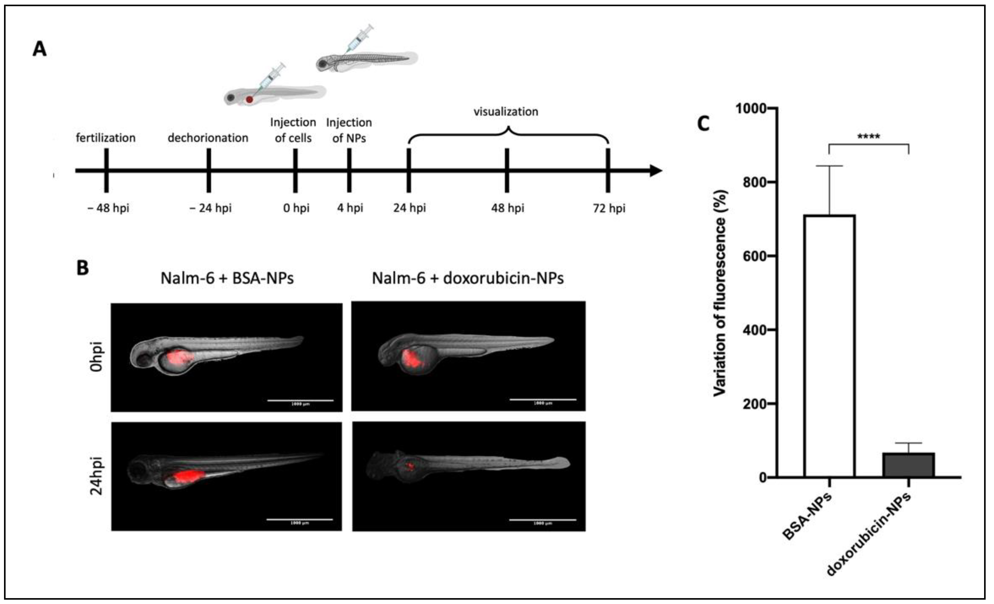 Biomedicines 10 02252 g006 550