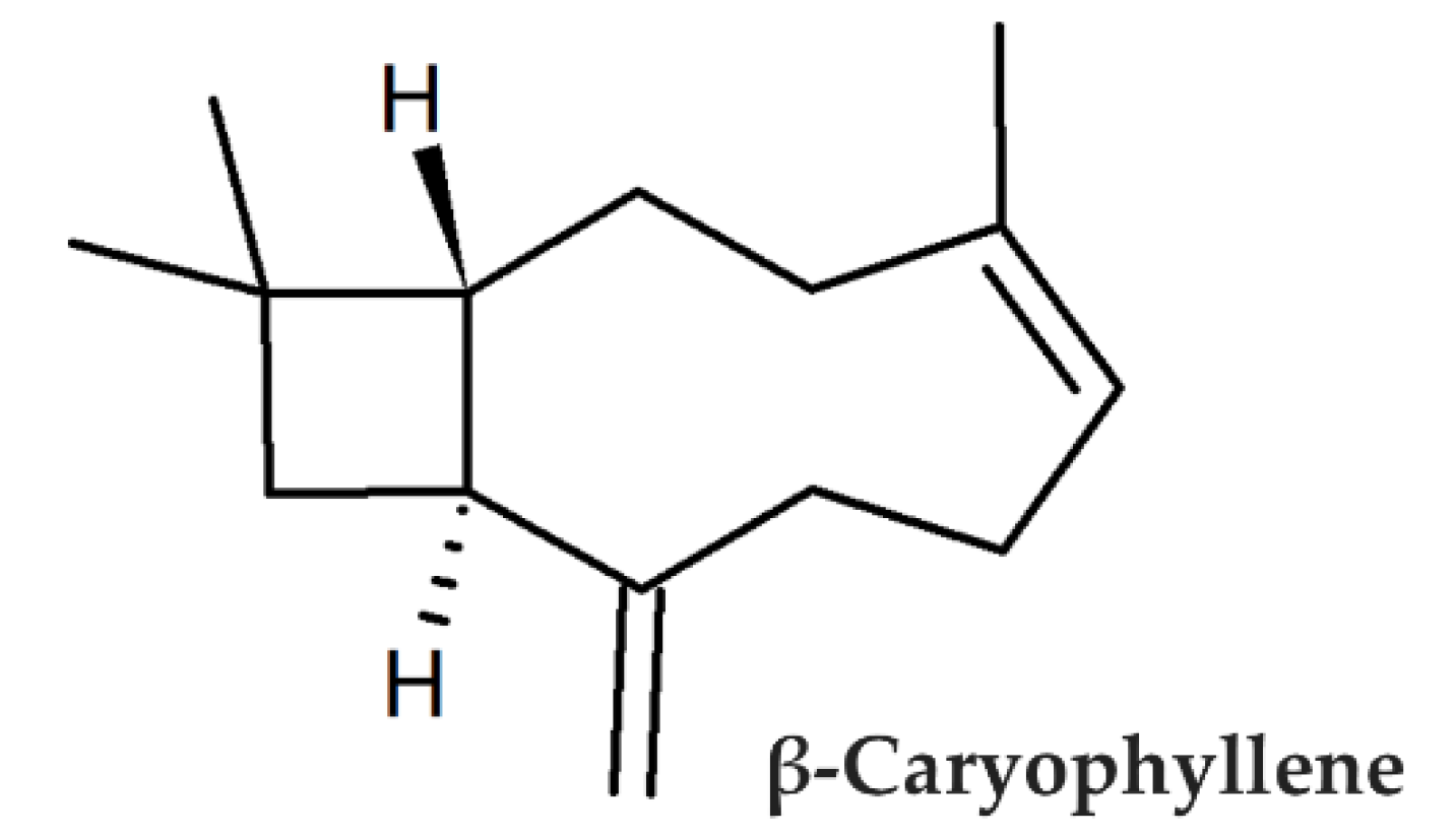 Biomedicines 10 02257 g001 Biomedicines 10 02257 g001