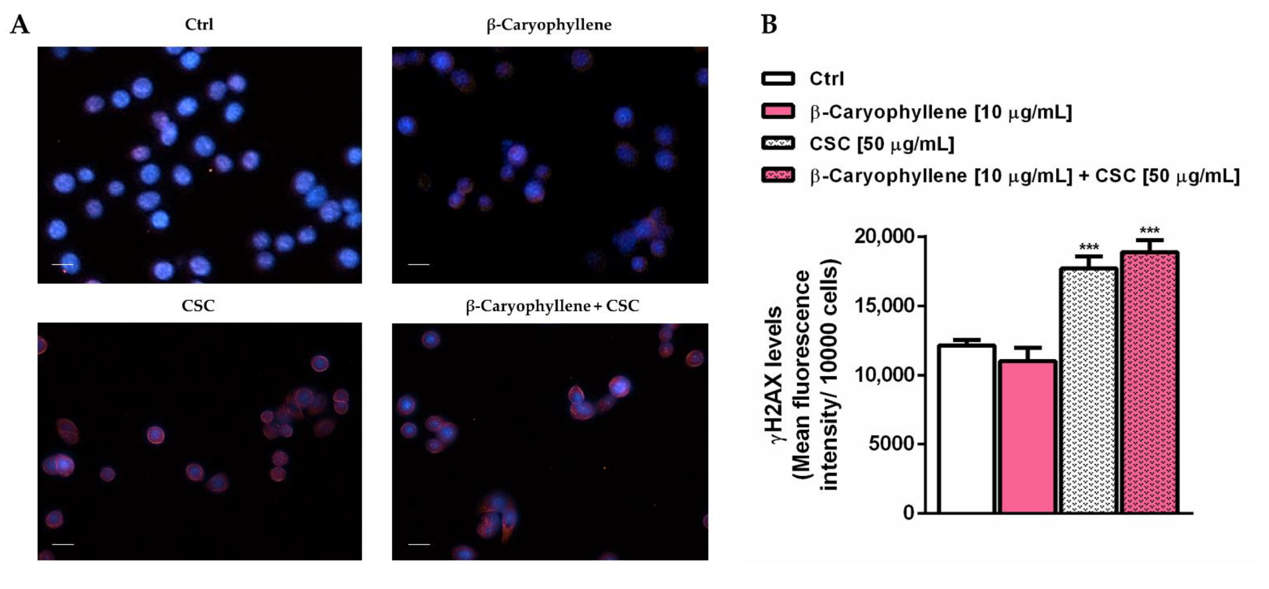 Biomedicines 10 02257 g009 Biomedicines 10 02257 g009
