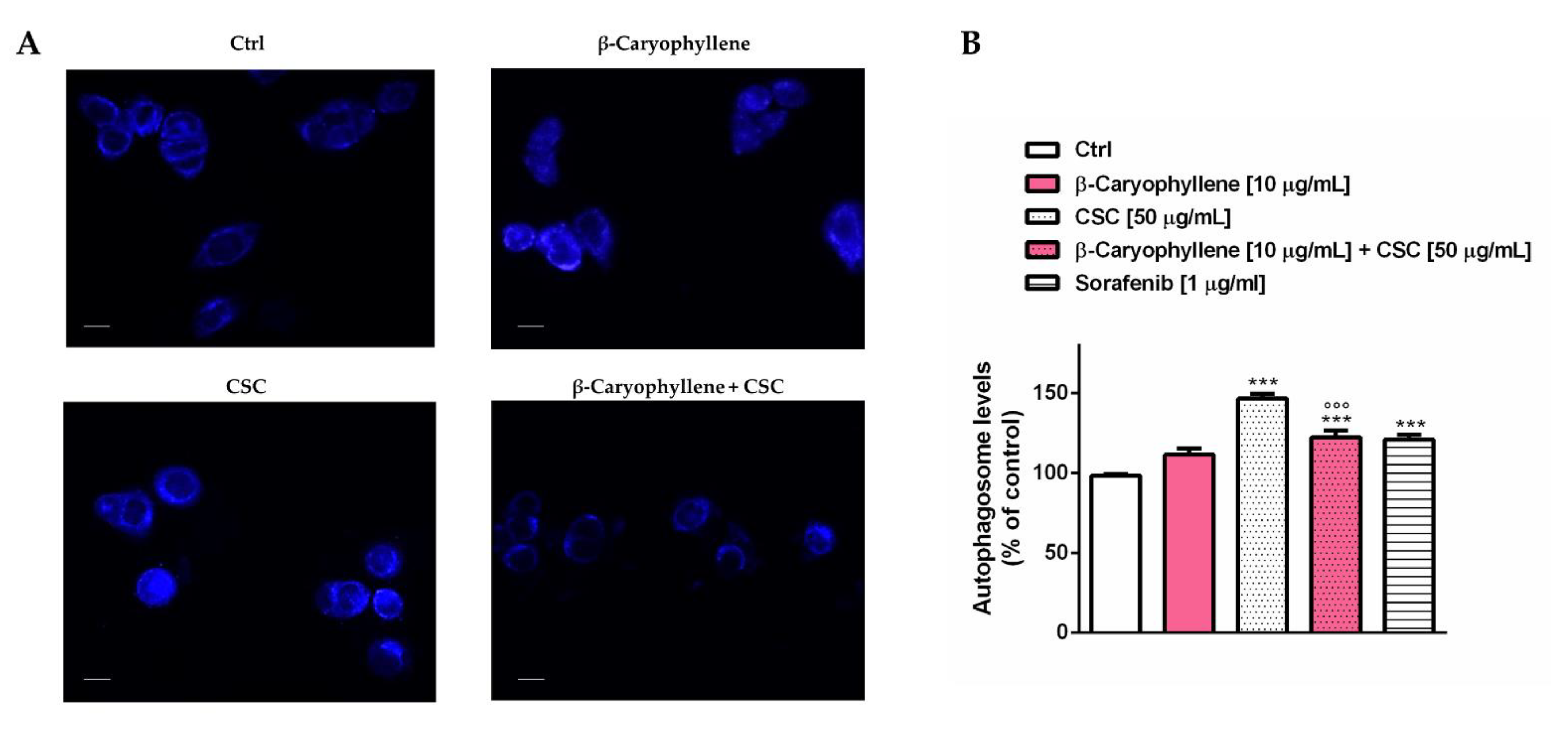 Biomedicines 10 02257 g012 Biomedicines 10 02257 g012