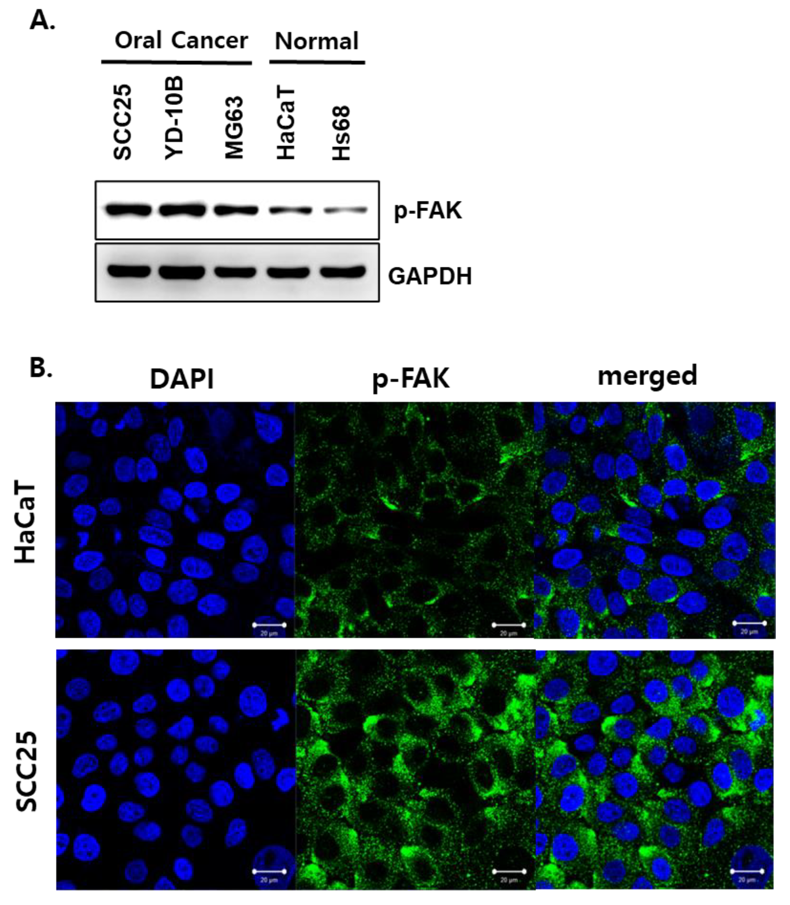 Biomedicines 10 02259 g001 Biomedicines 10 02259 g001