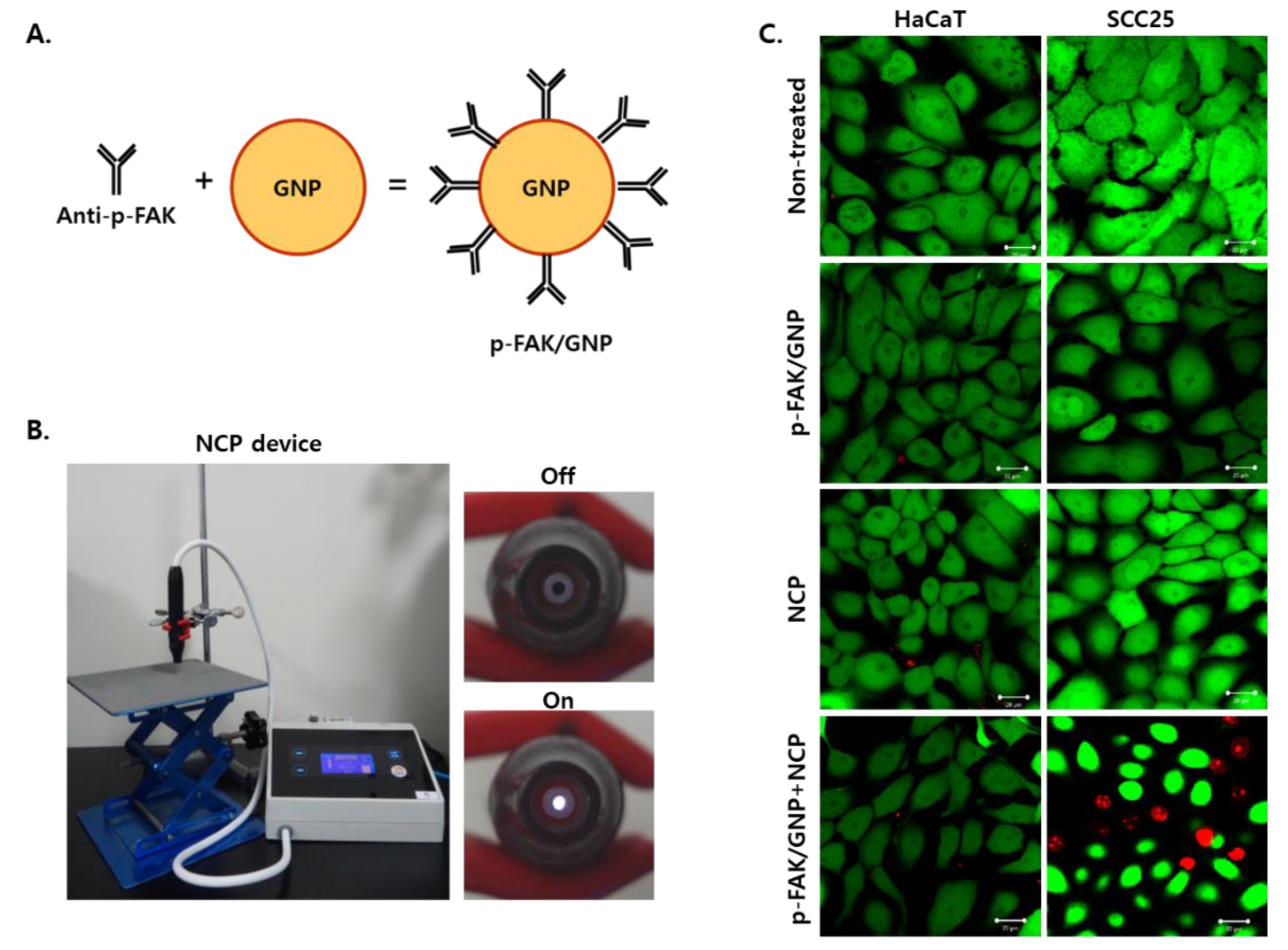 Biomedicines 10 02259 g002 Biomedicines 10 02259 g002