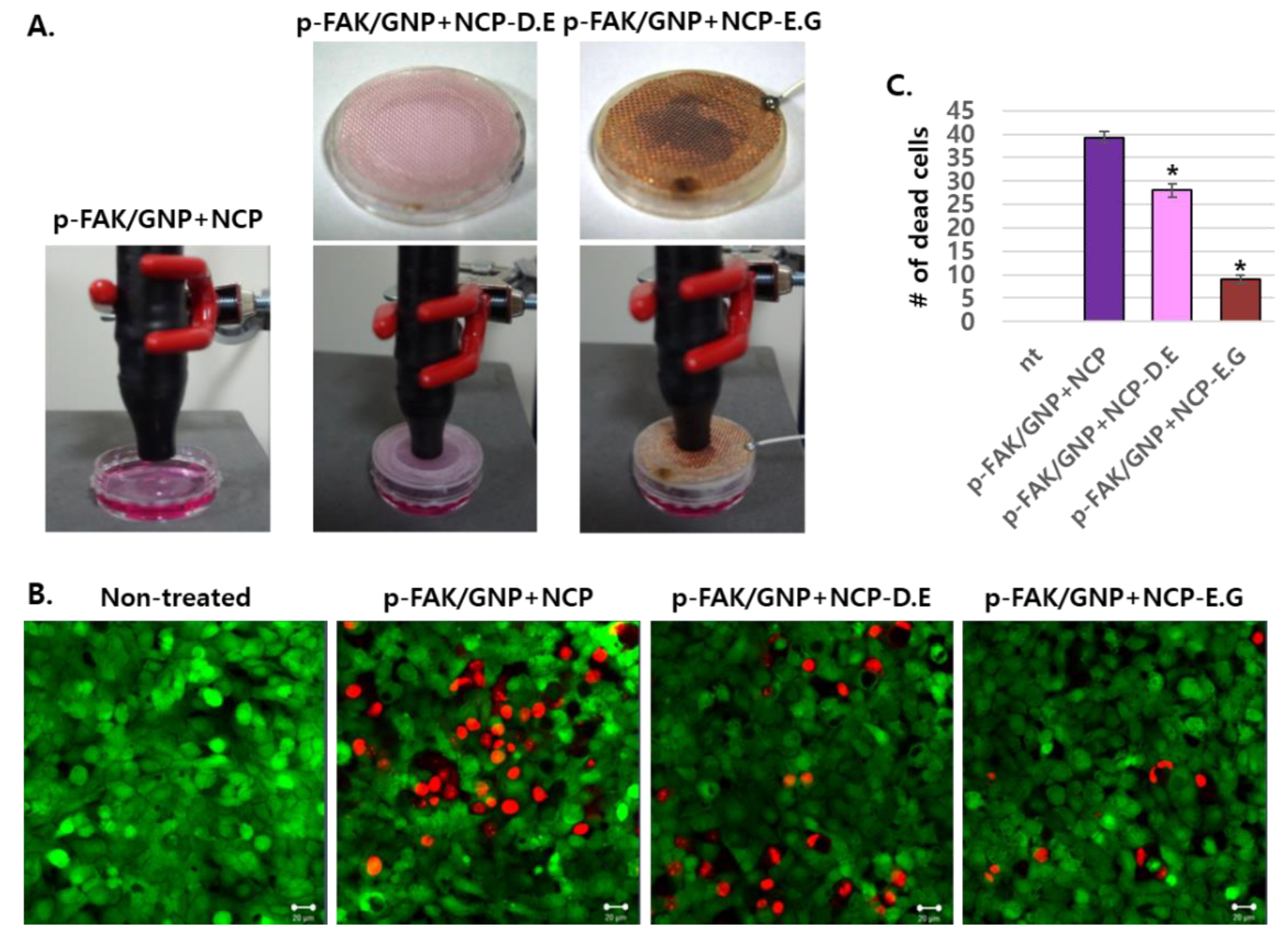 Biomedicines 10 02259 g004 Biomedicines 10 02259 g004